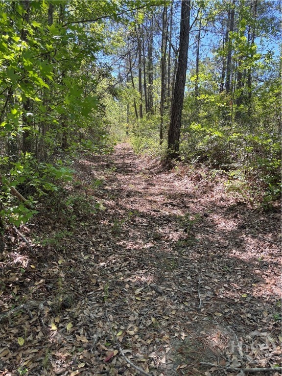 Homes for sale in Rincon, GA | 0 E Fifth St, Rincon, GA 31326 | MLS# SA339176