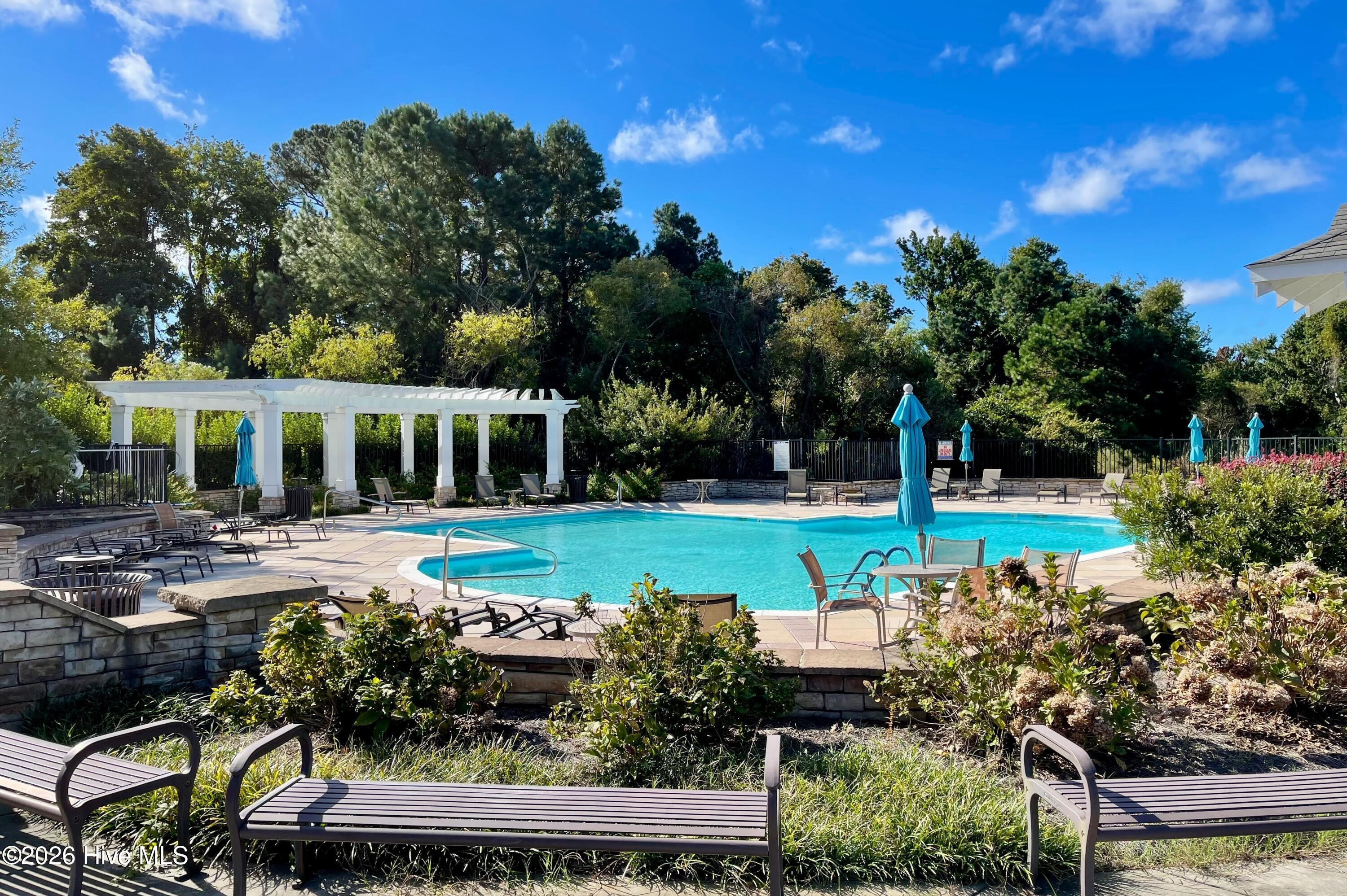 100555931 | Photo 34