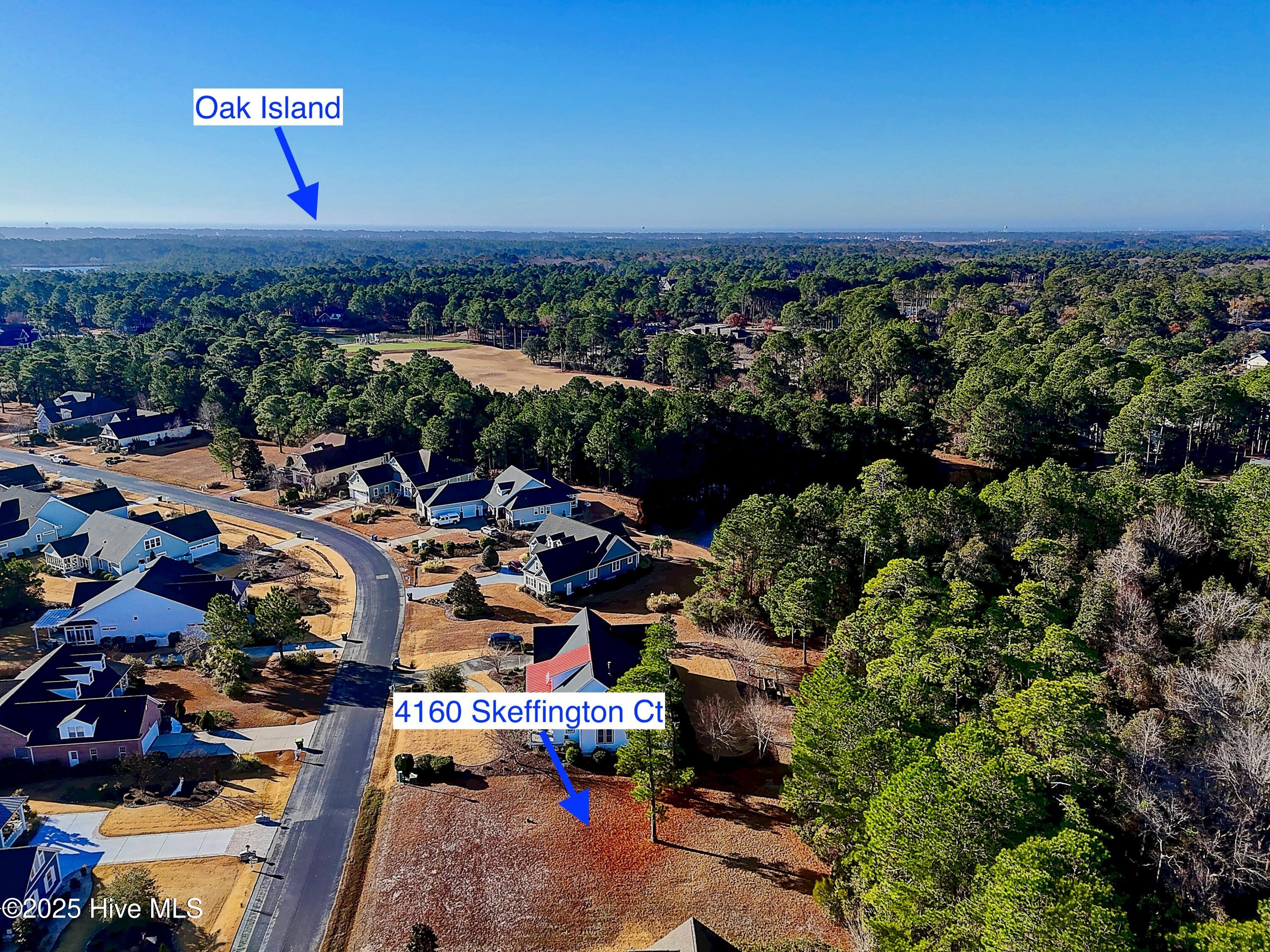 100546693 | Photo 16