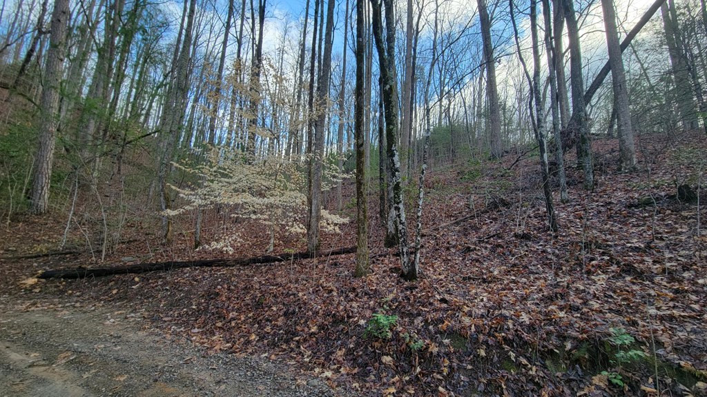 Exterior photo of 27 Page Lane, Murphy, NC 28906. MLS: 98544391