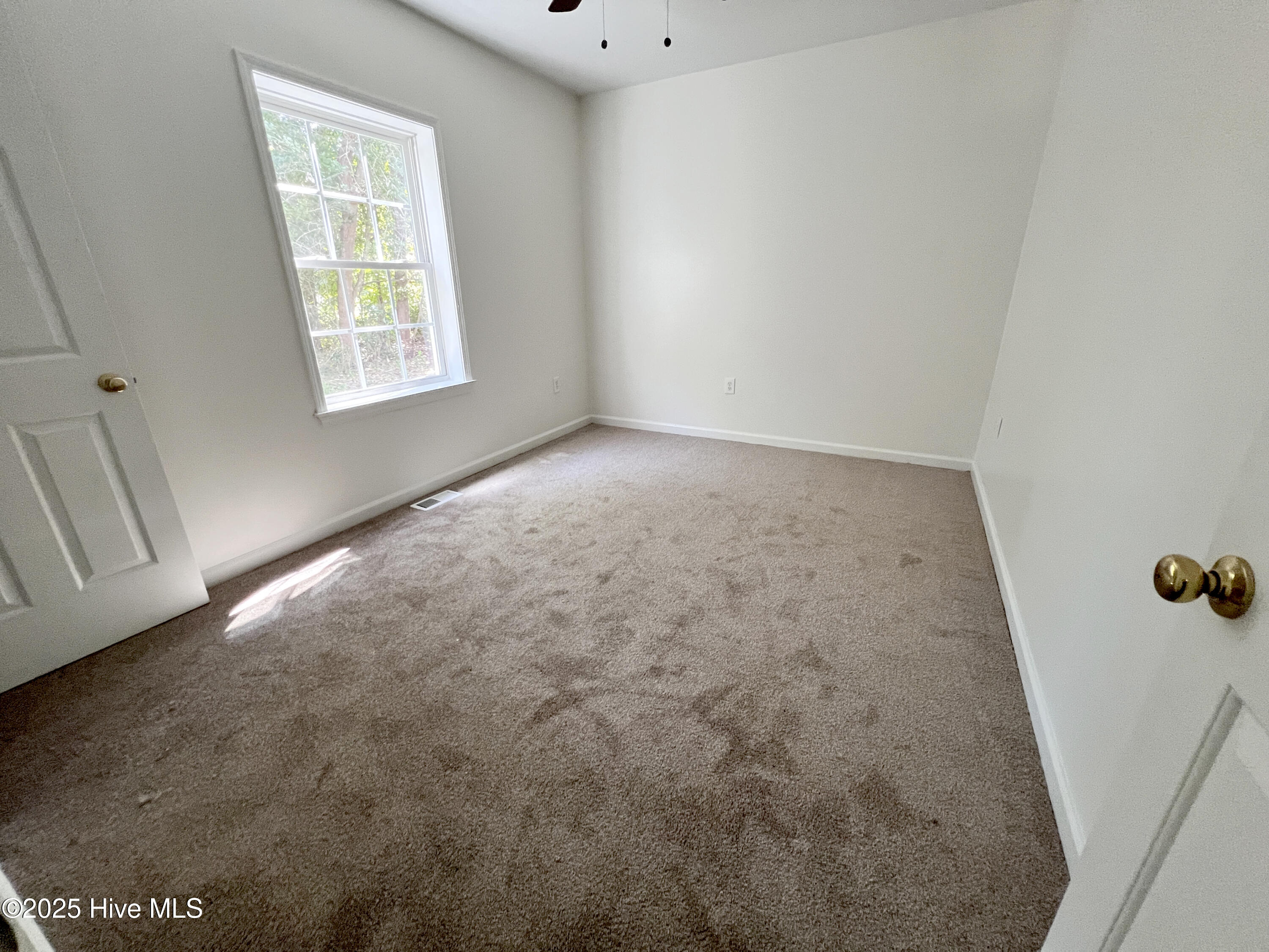 100535017 | Photo 18