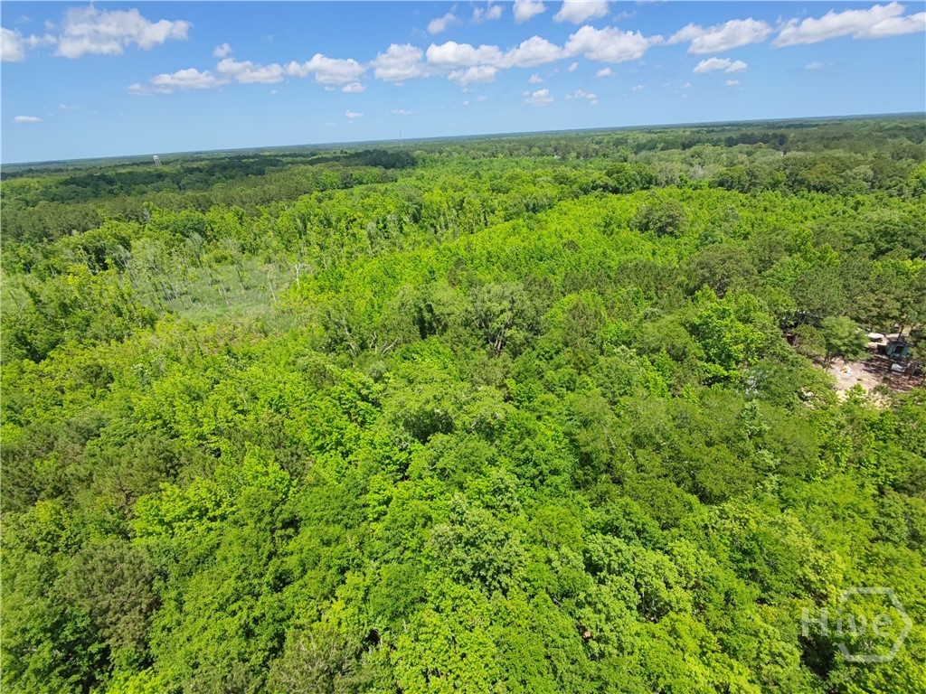 526 Roper Road - 30 Acres