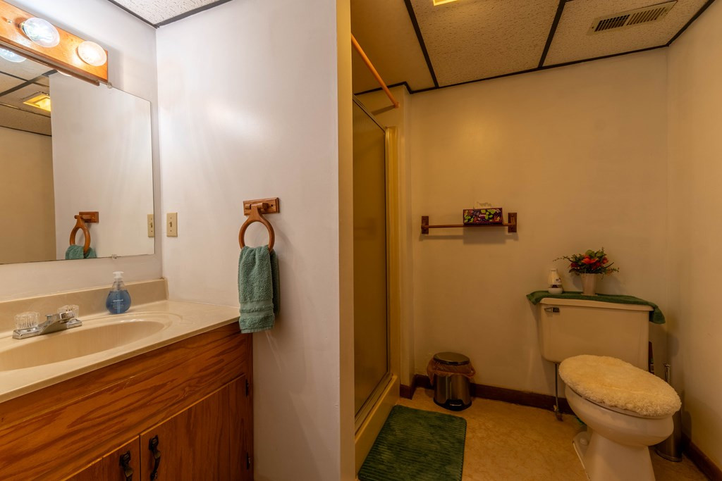 300 Sandy Gap Road, Murphy, NC 28906 Listing Photo  38