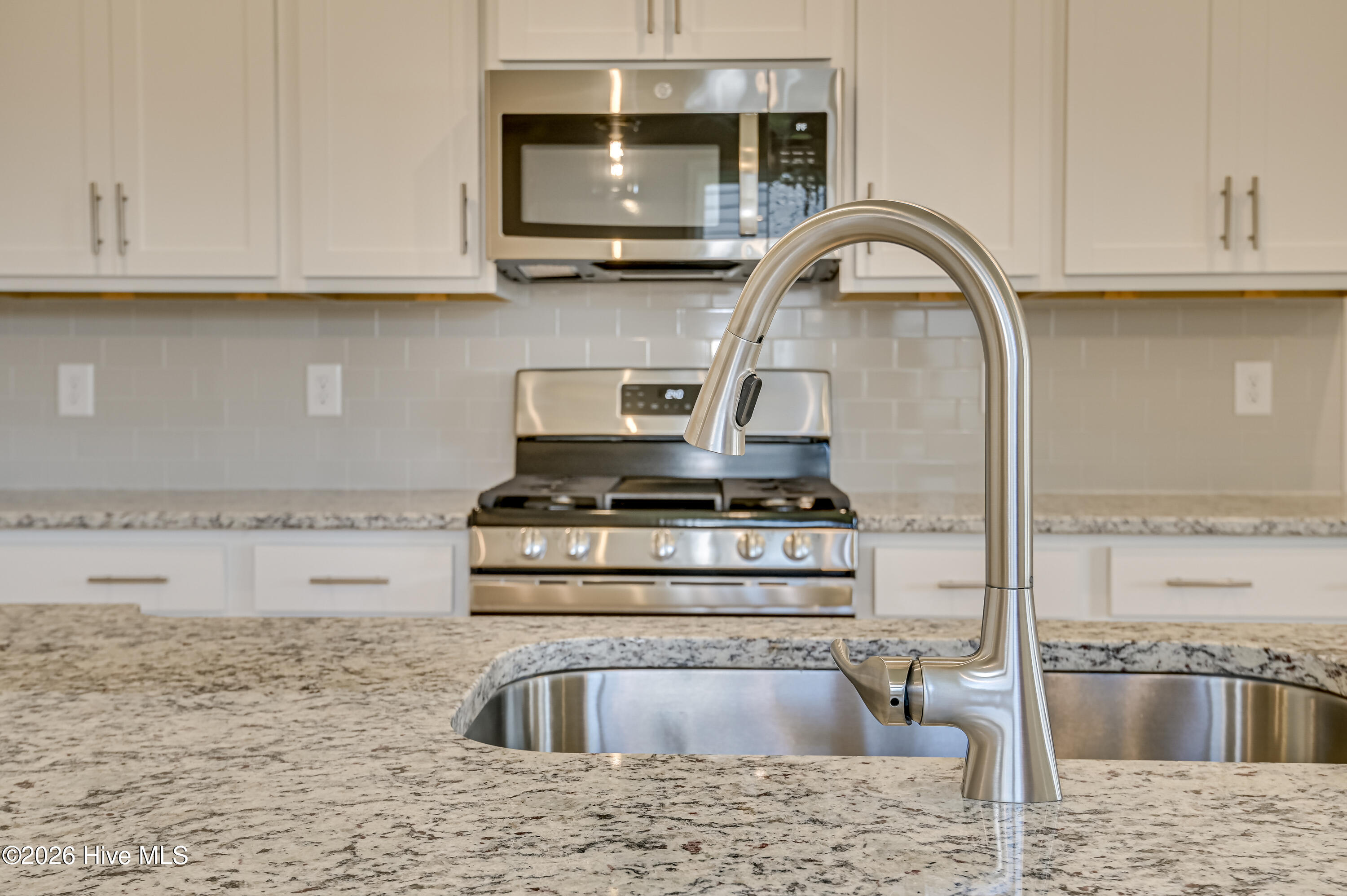 1017 American Egret Way,Morehead City