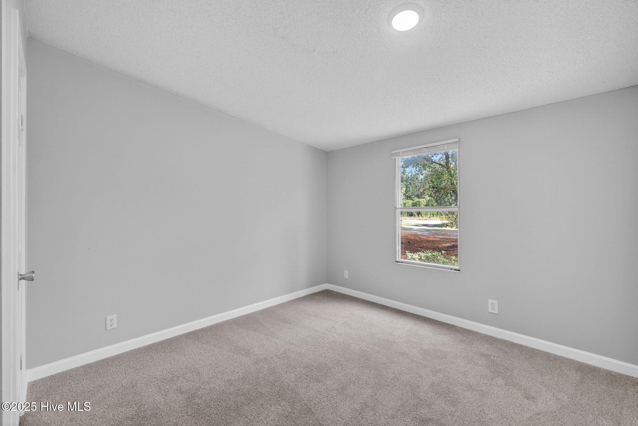 100544256 | Photo 21