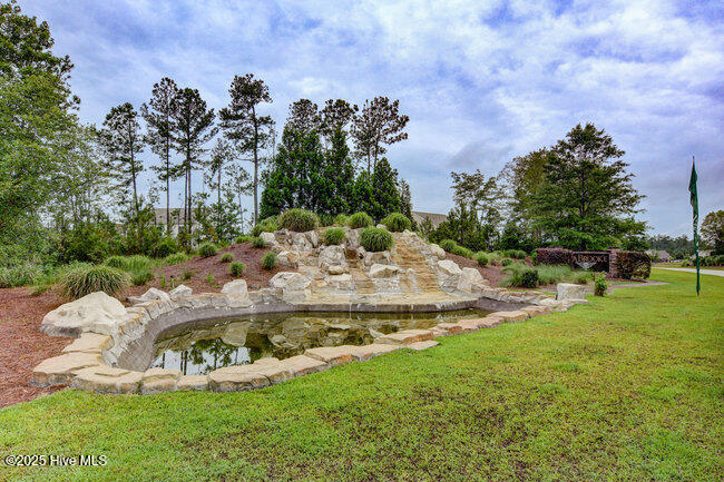 100528585 | Photo 49