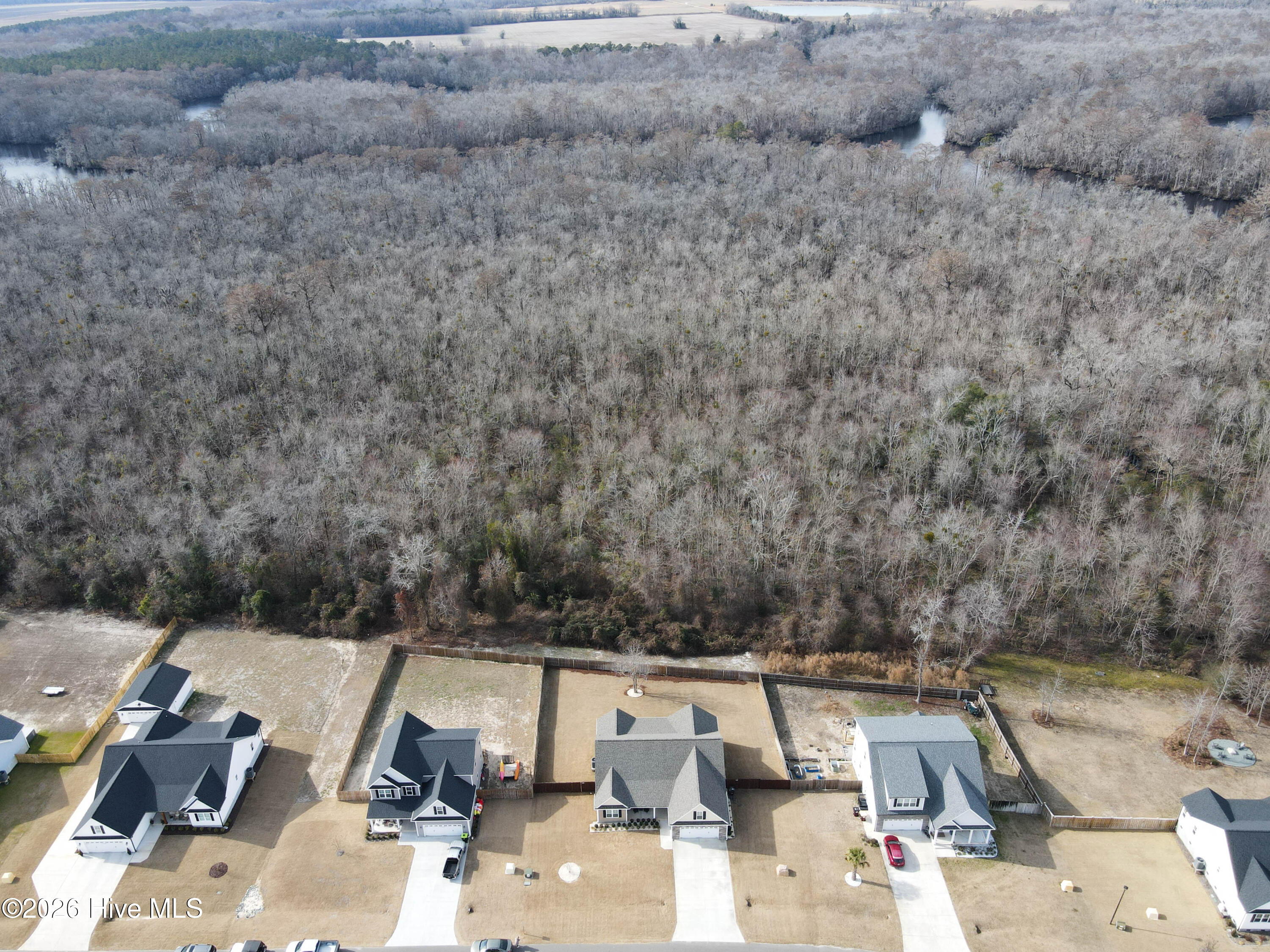 100560693 | Photo 80