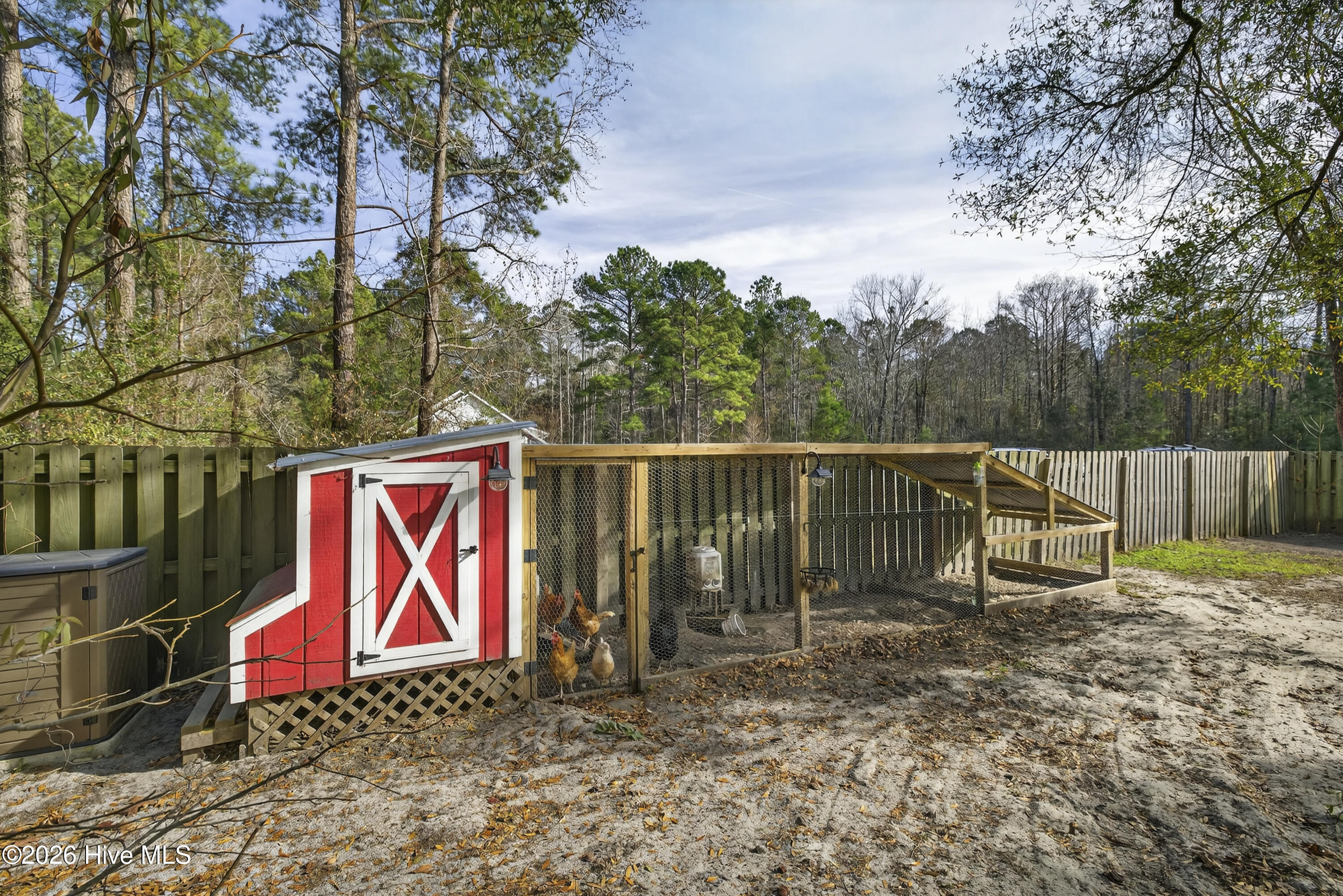 100549081 | Photo 38