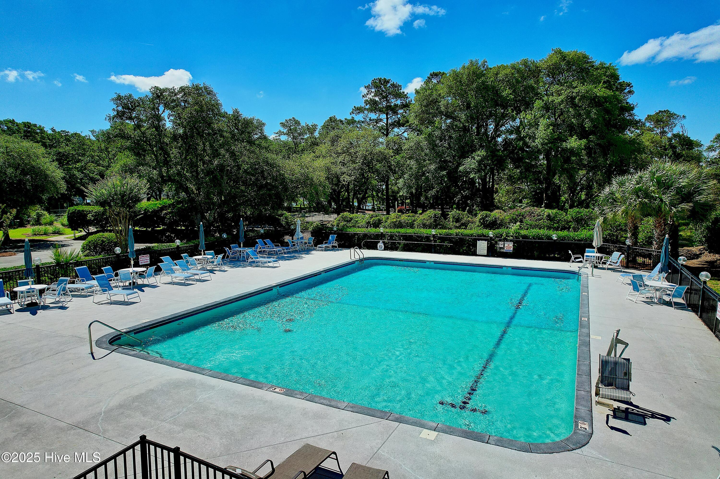 100528627 | Photo 61