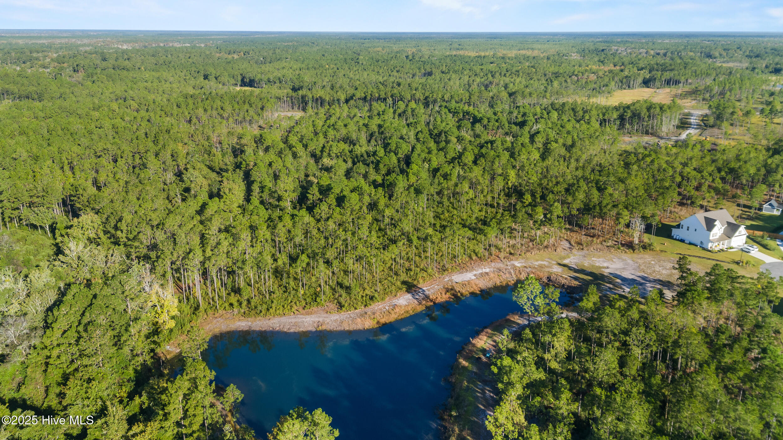 100538147 | Photo 10