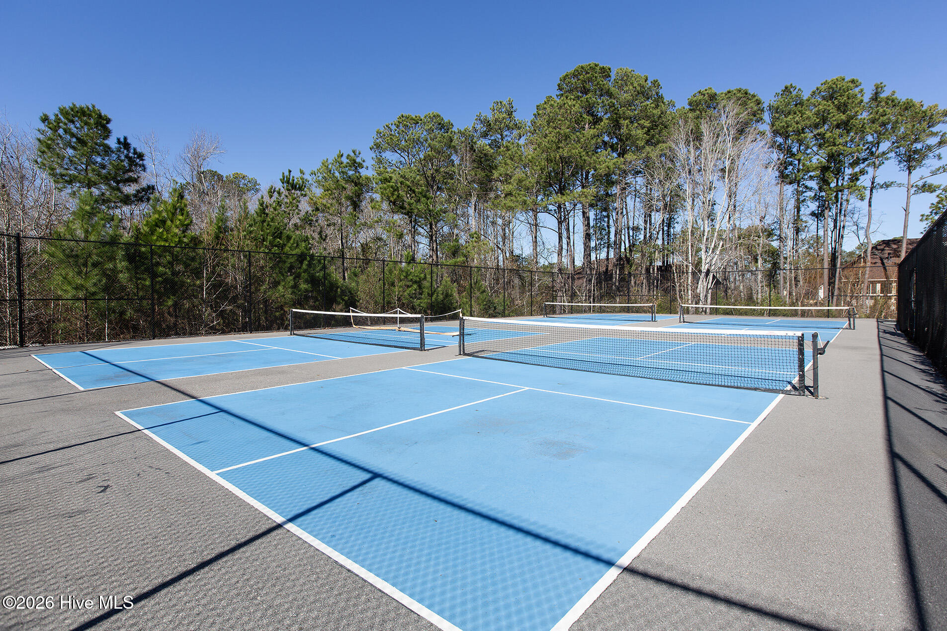 100556141 | Photo 48