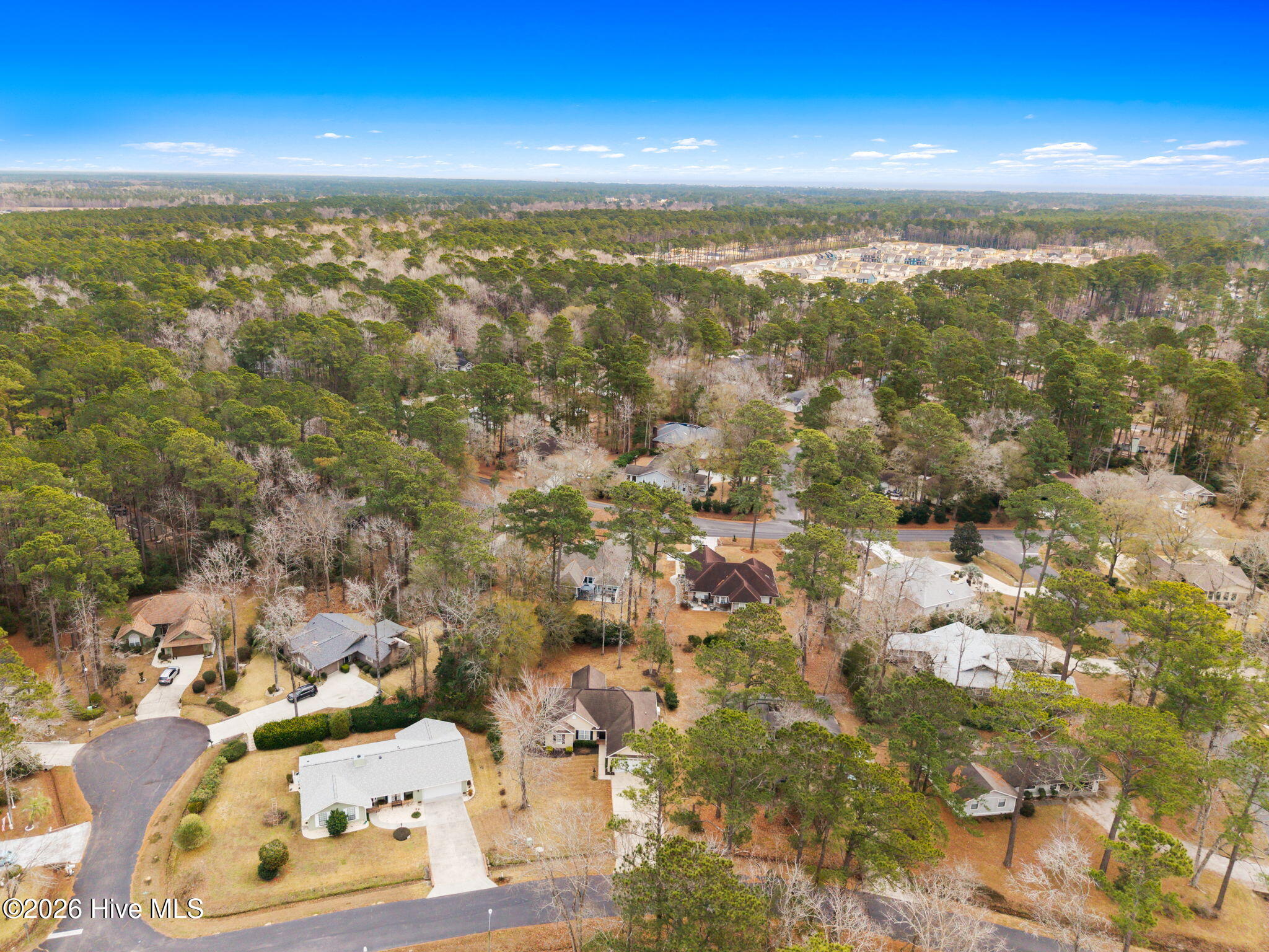 100549581 | Photo 58