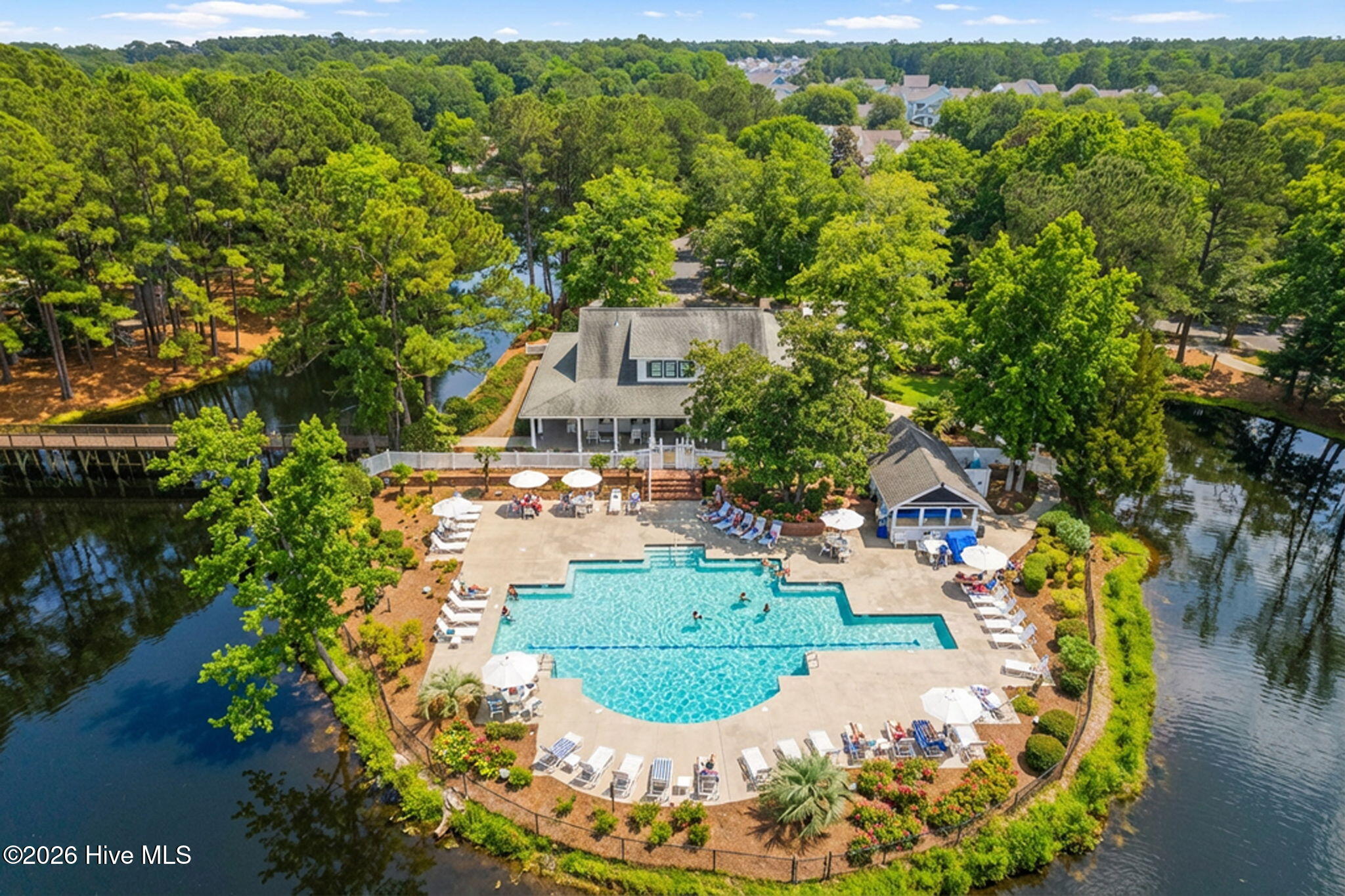 100567275 | Photo 59