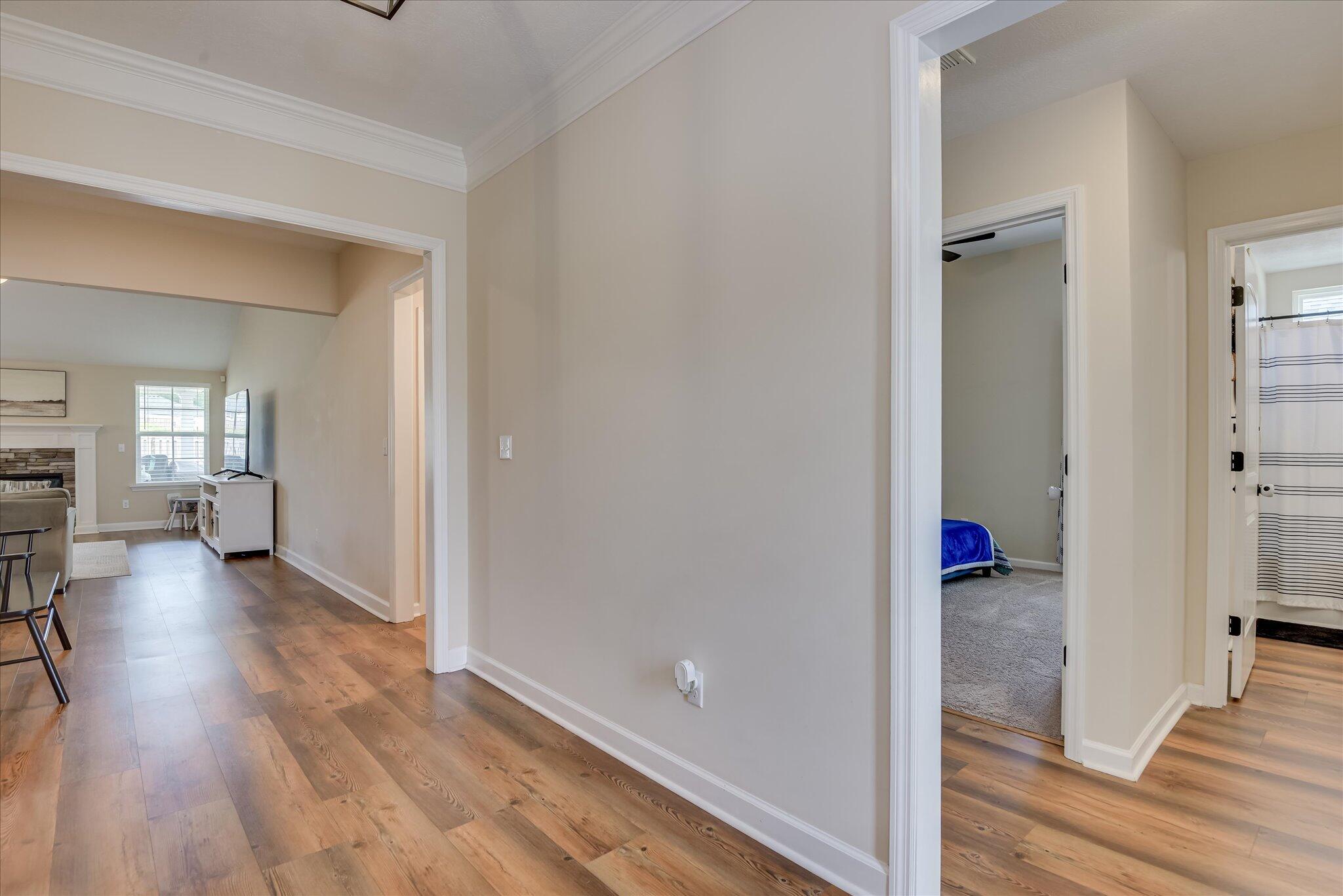 08-108-DSC_6439LRenfuse