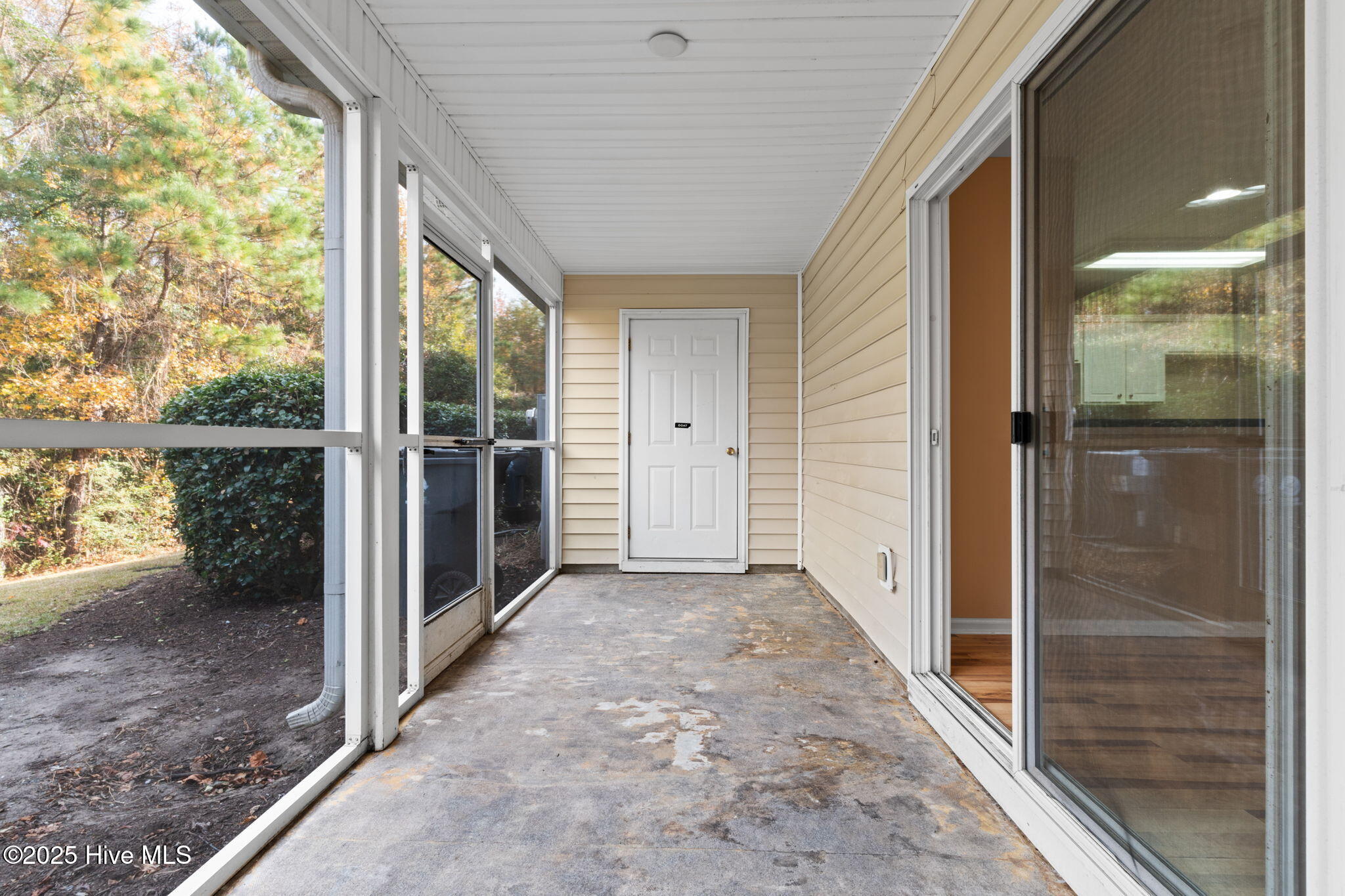 100542570 | Photo 41