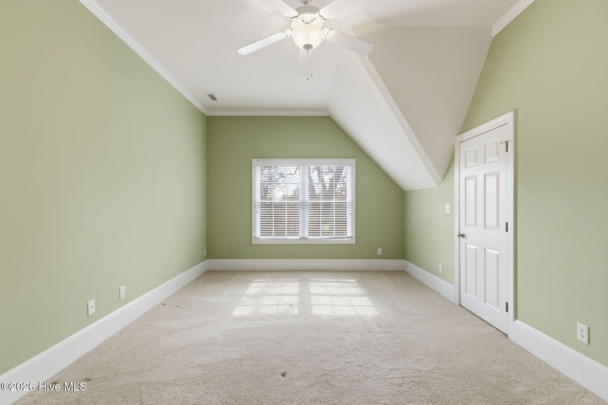 100565083 | Photo 53