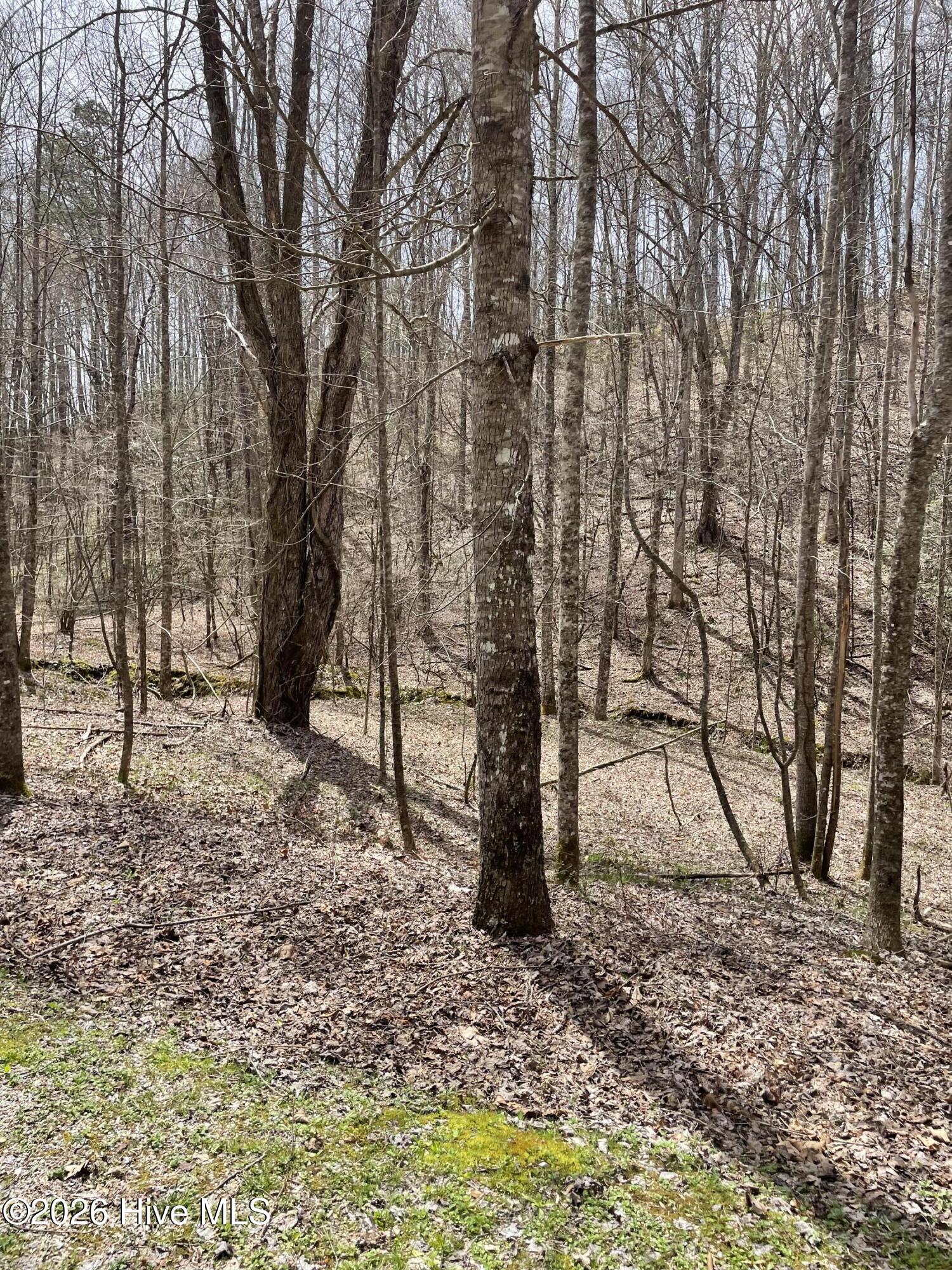 2nd image of 11a 11b Hidden Lakes Rd, Topton, NC 28781 | MLS# 100597991