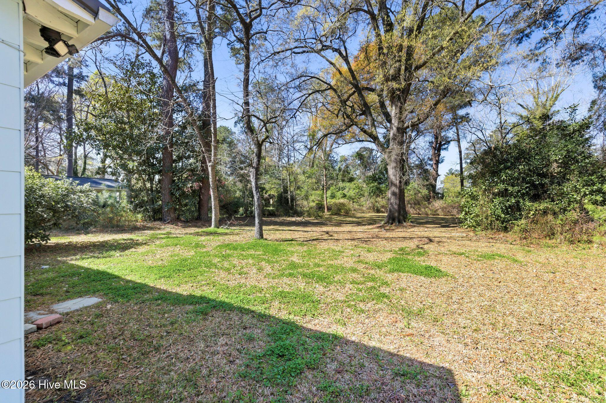 100562415 | Photo 39