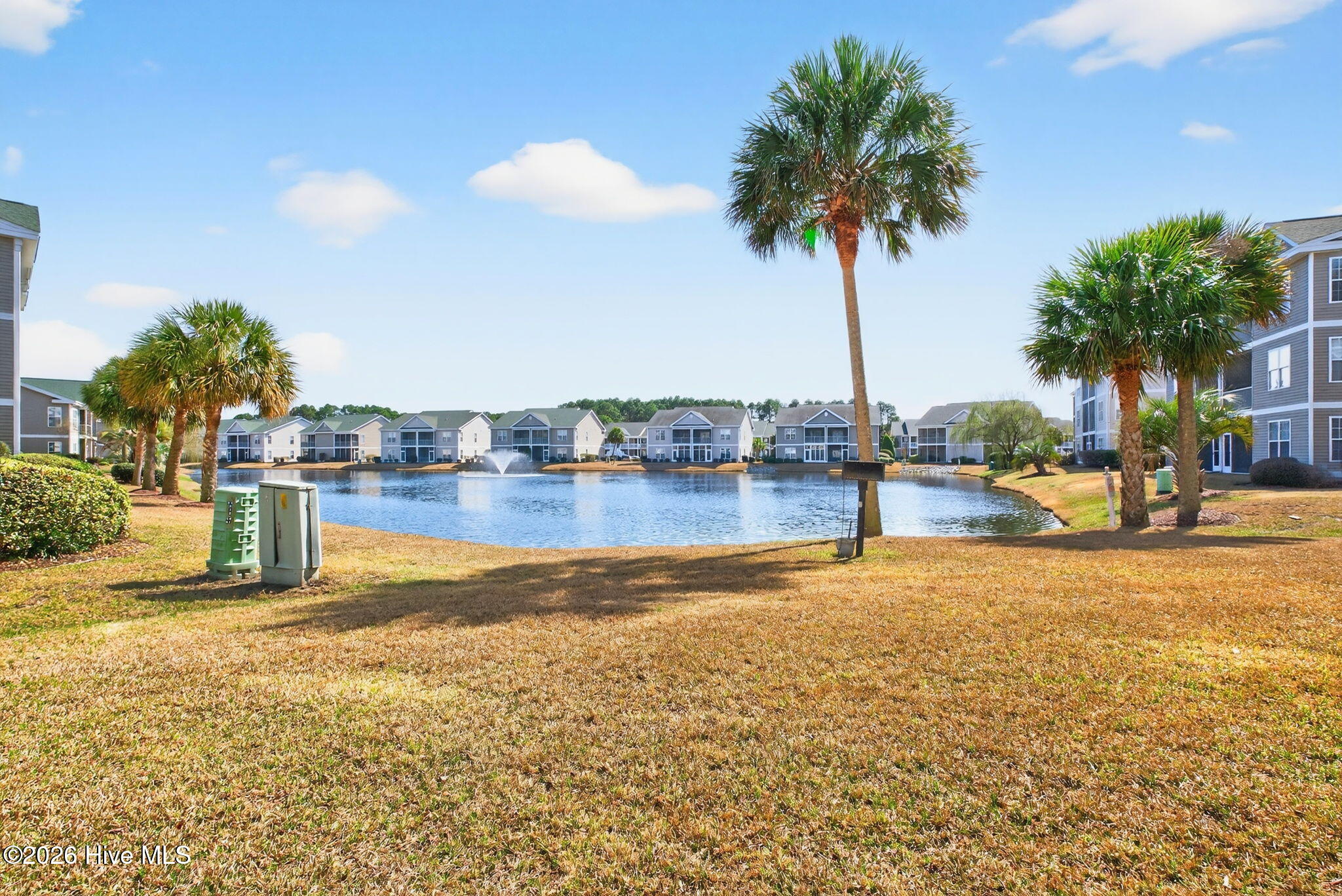 100559381 | Photo 33