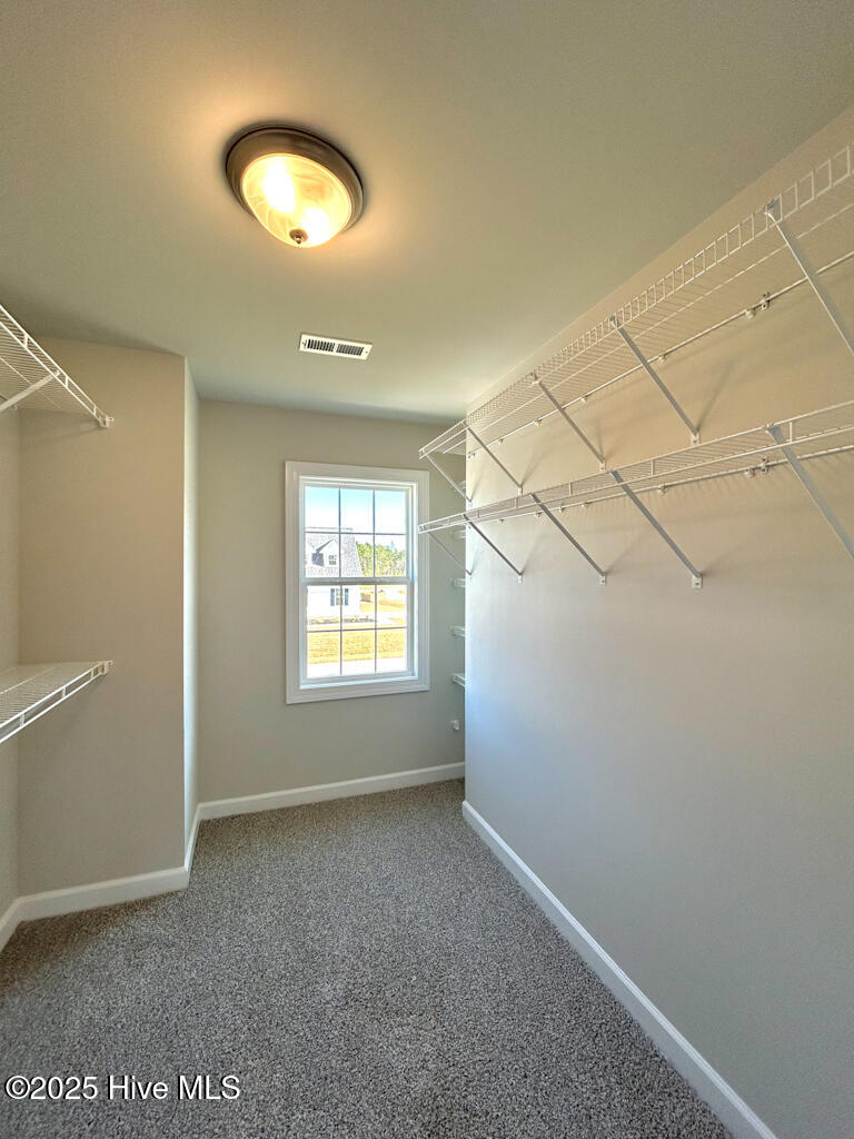 100538382 | Photo 40