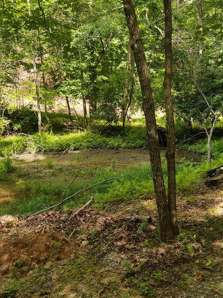 337 Simpson Mountain Road, Murphy, NC 28906 Listing Photo  33