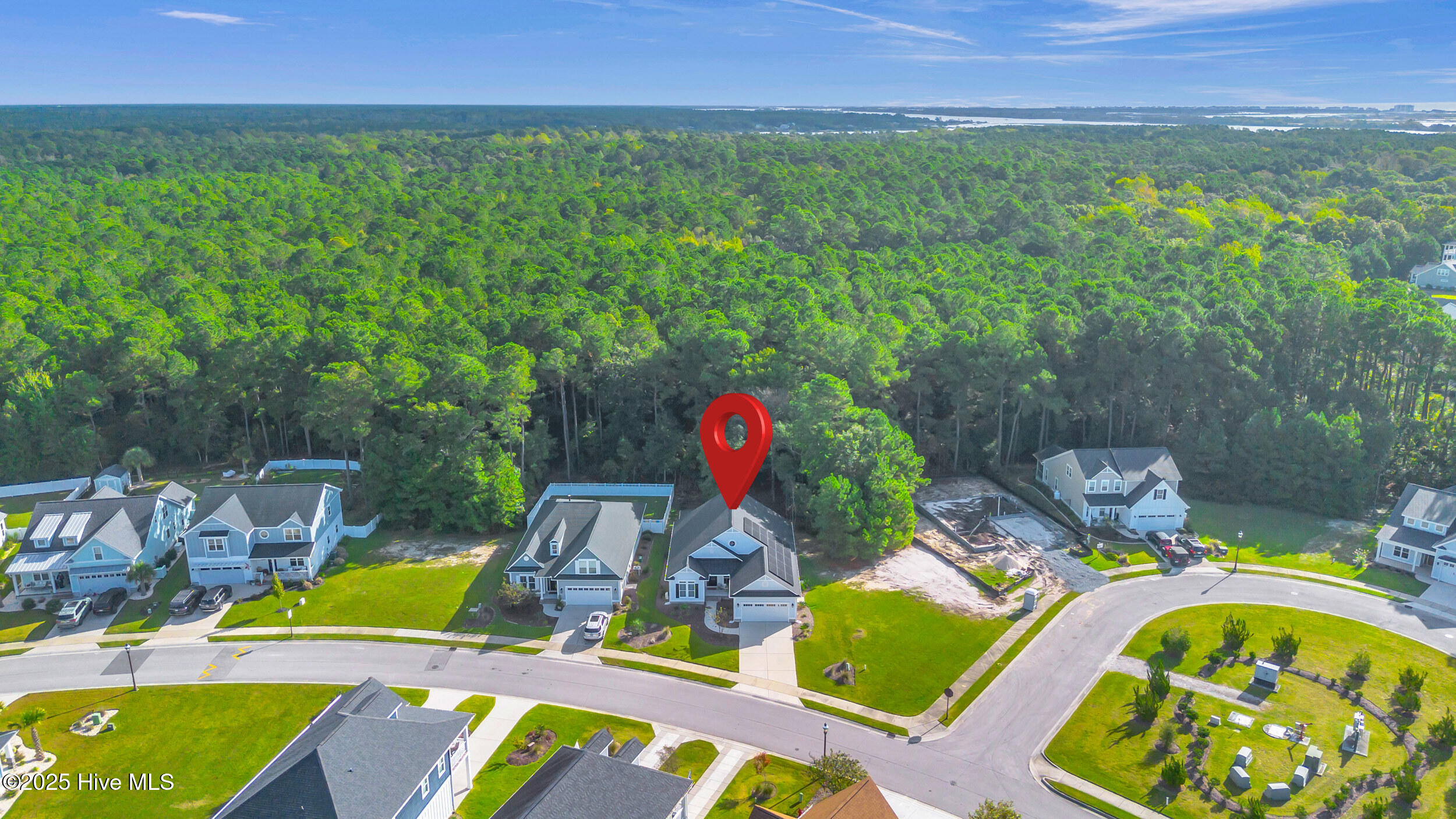 100535117 | Photo 55