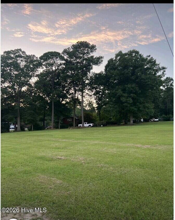 100547447 | Photo 3