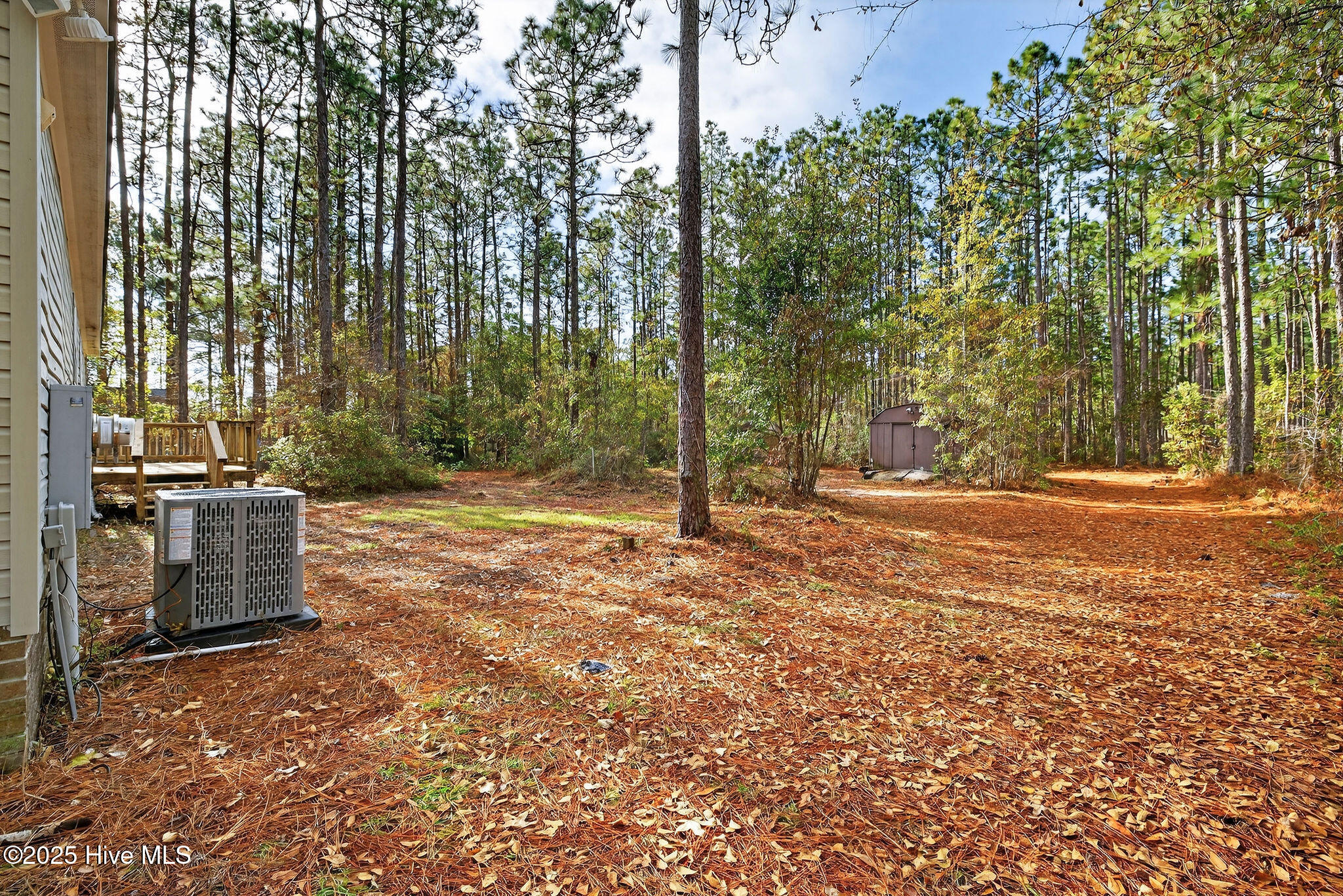 100544256 | Photo 27