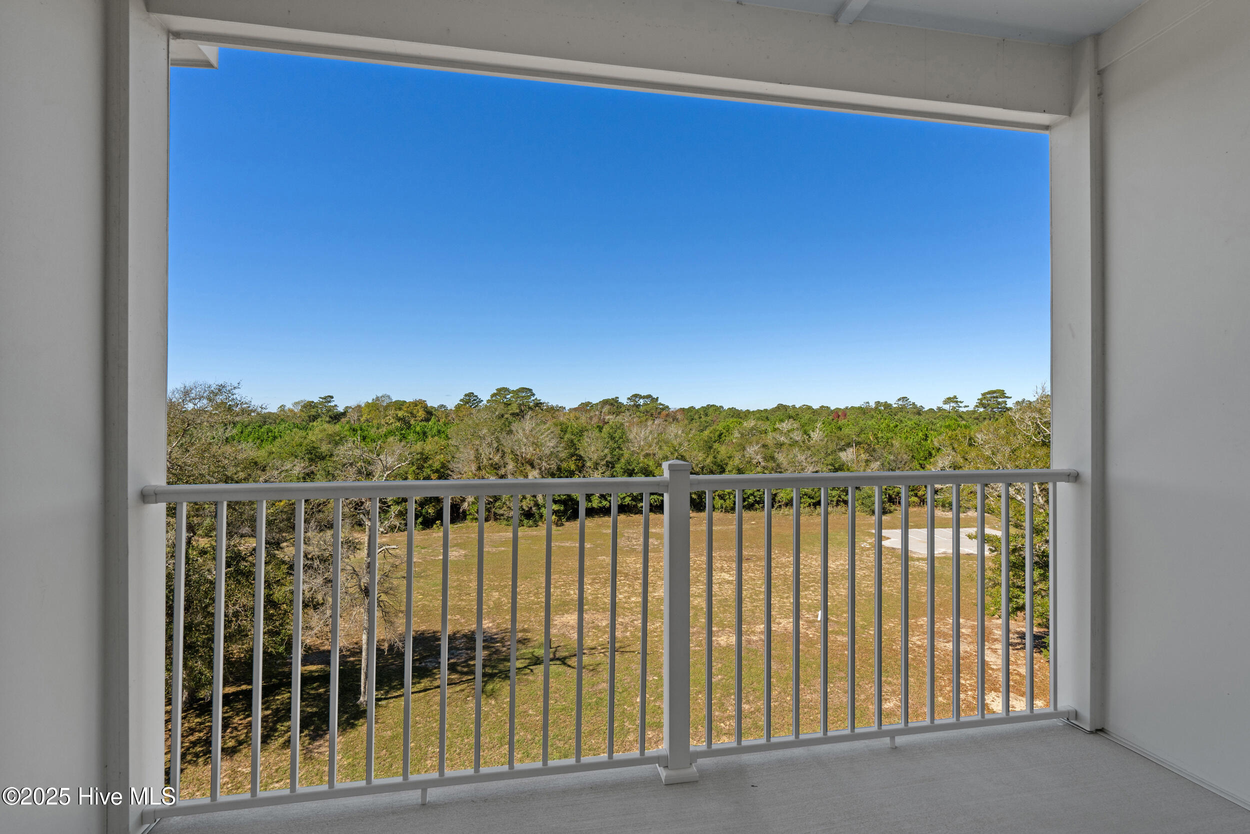 100539036 | Photo 21