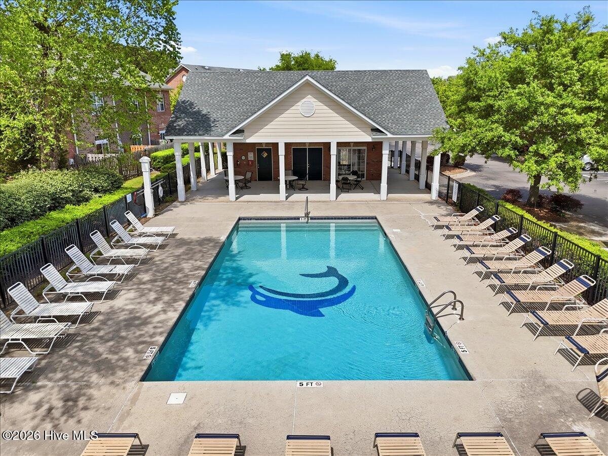 100567223 | Photo 41