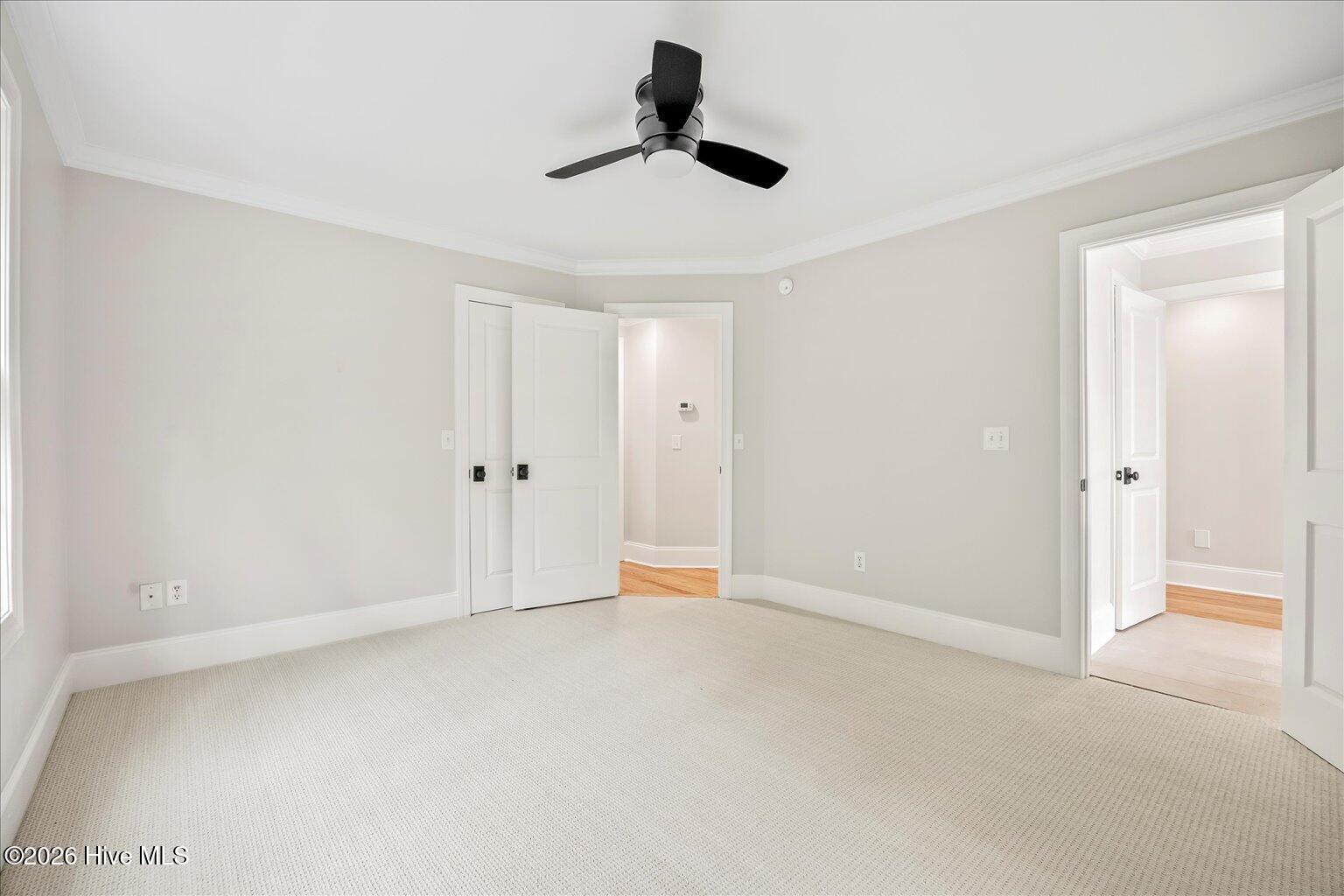 100560992 | Photo 32