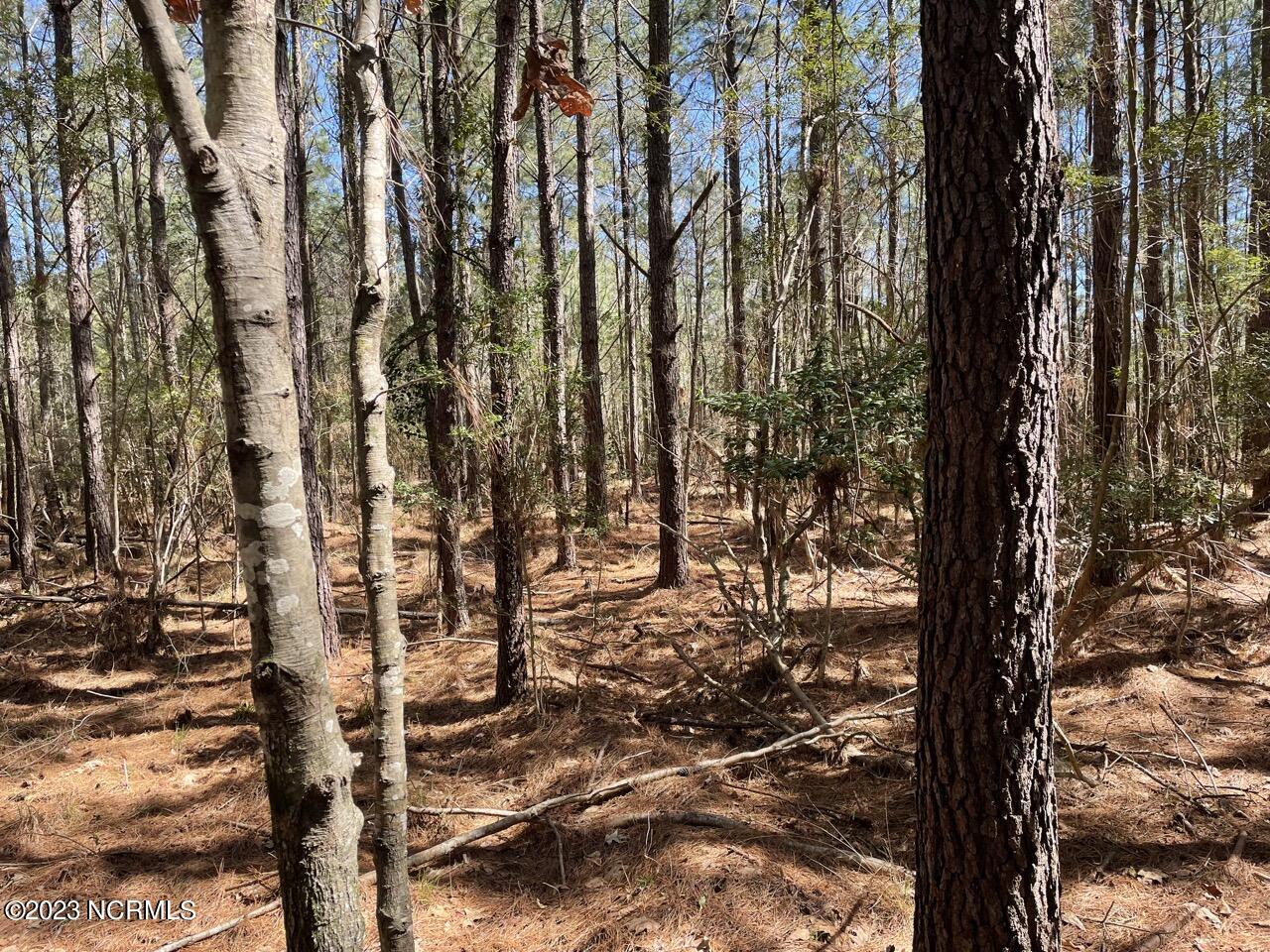 330, 211 Garbacon Drive, Beaufort, NC, 28516