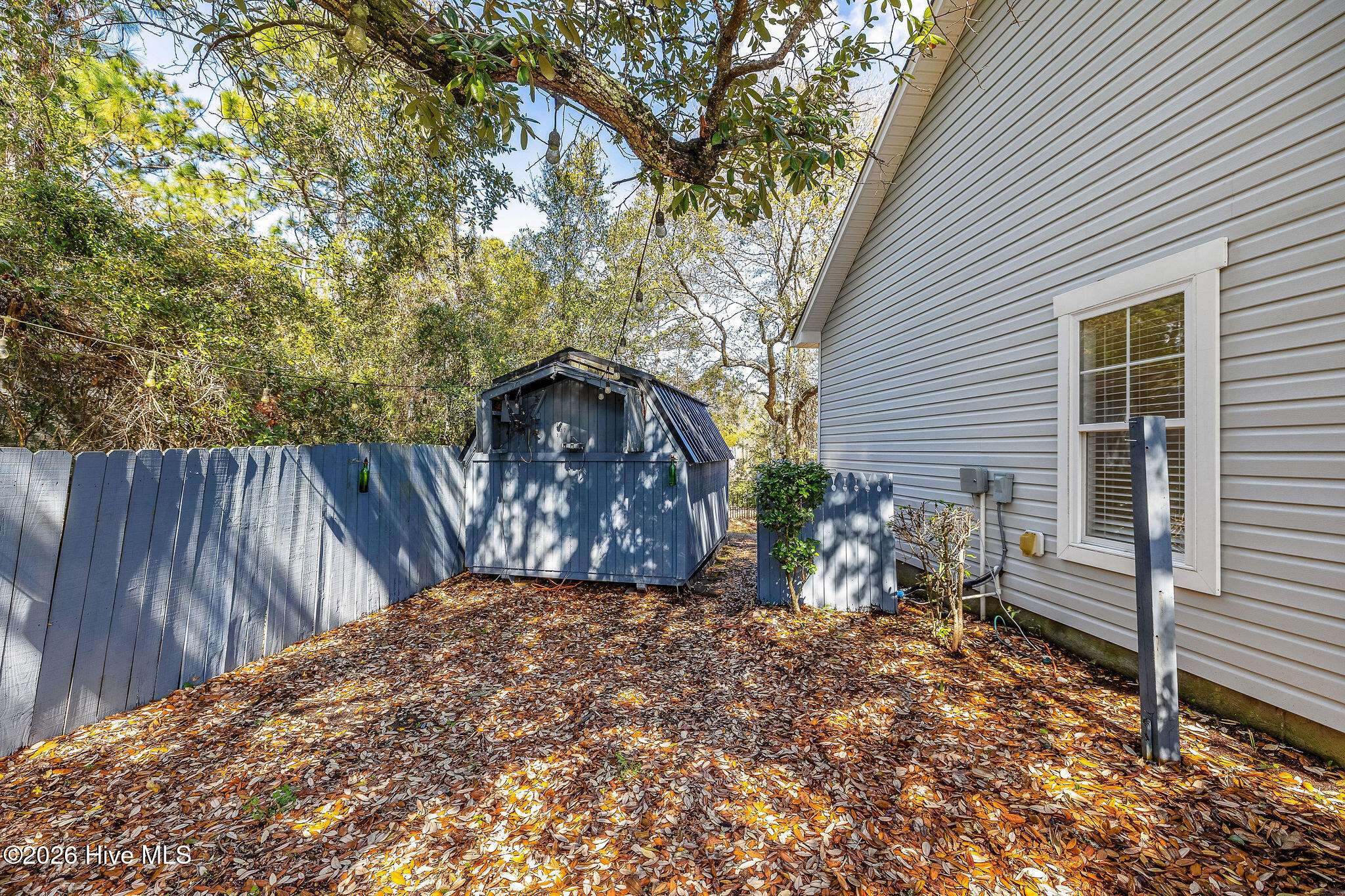 100559674 | Photo 29