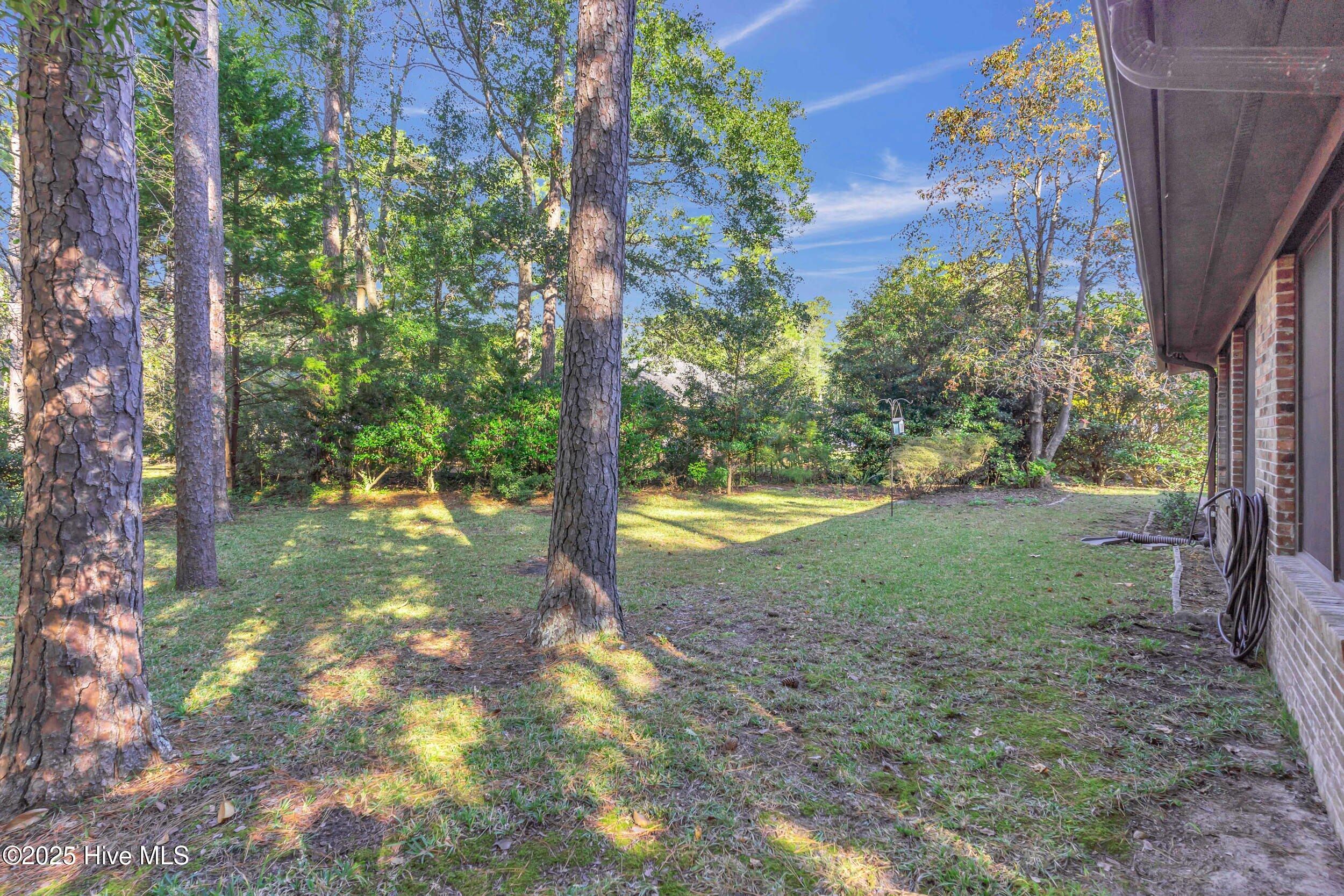 100538060 | Photo 37