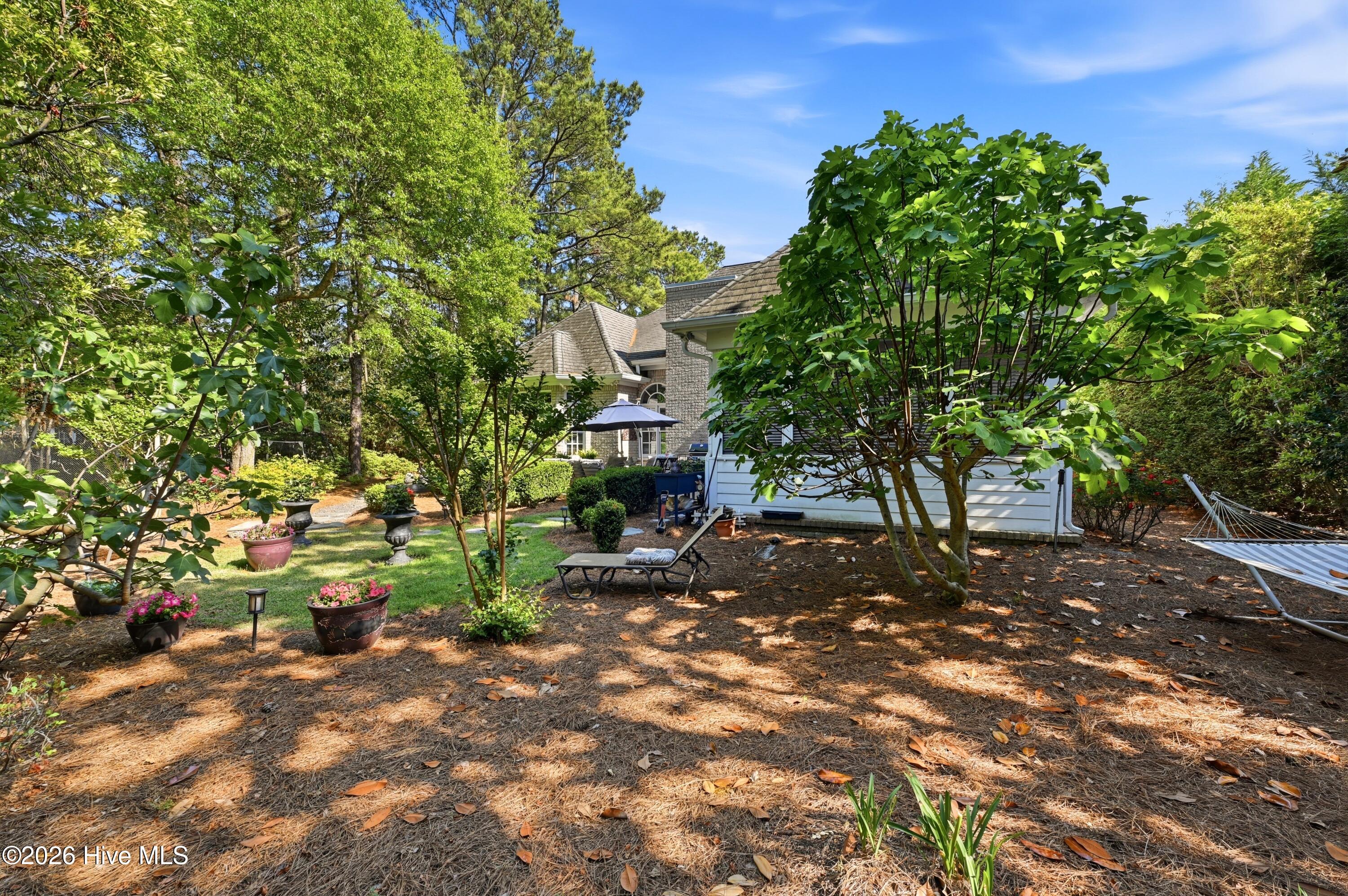 100567999 | Photo 45