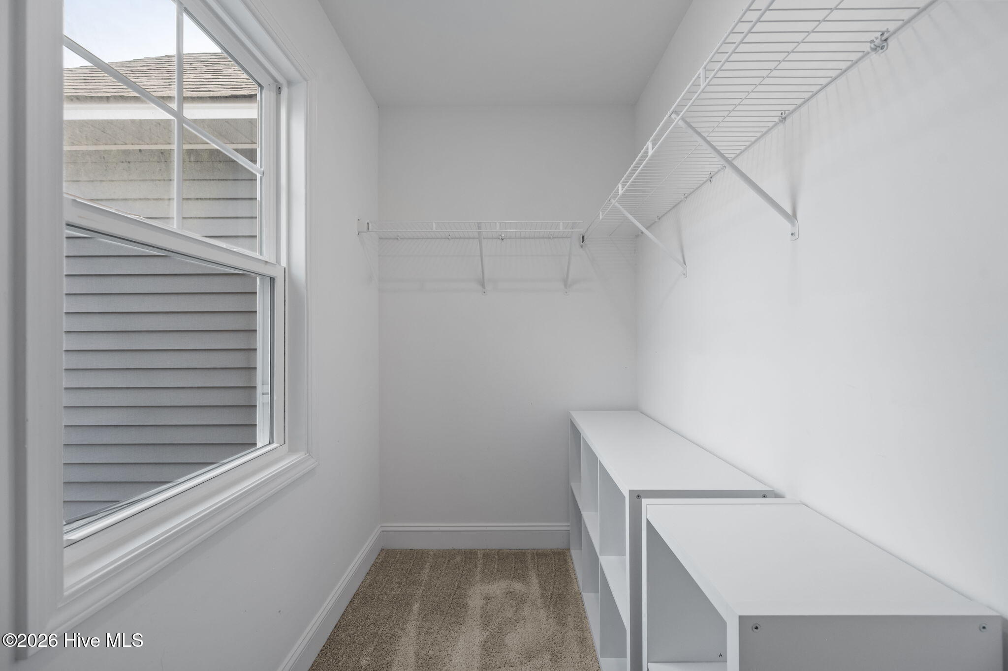 100564764 | Photo 30