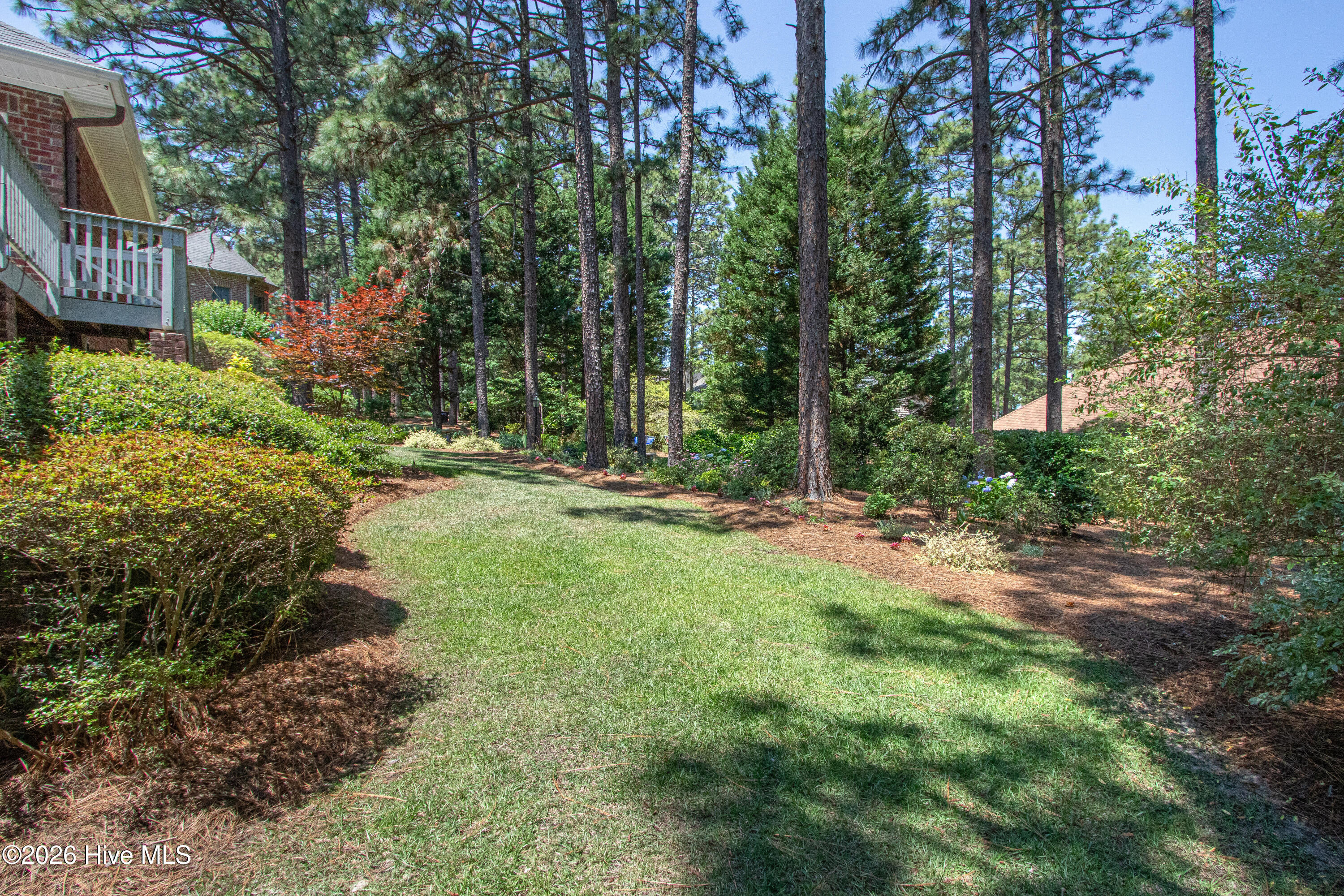 BackYard5