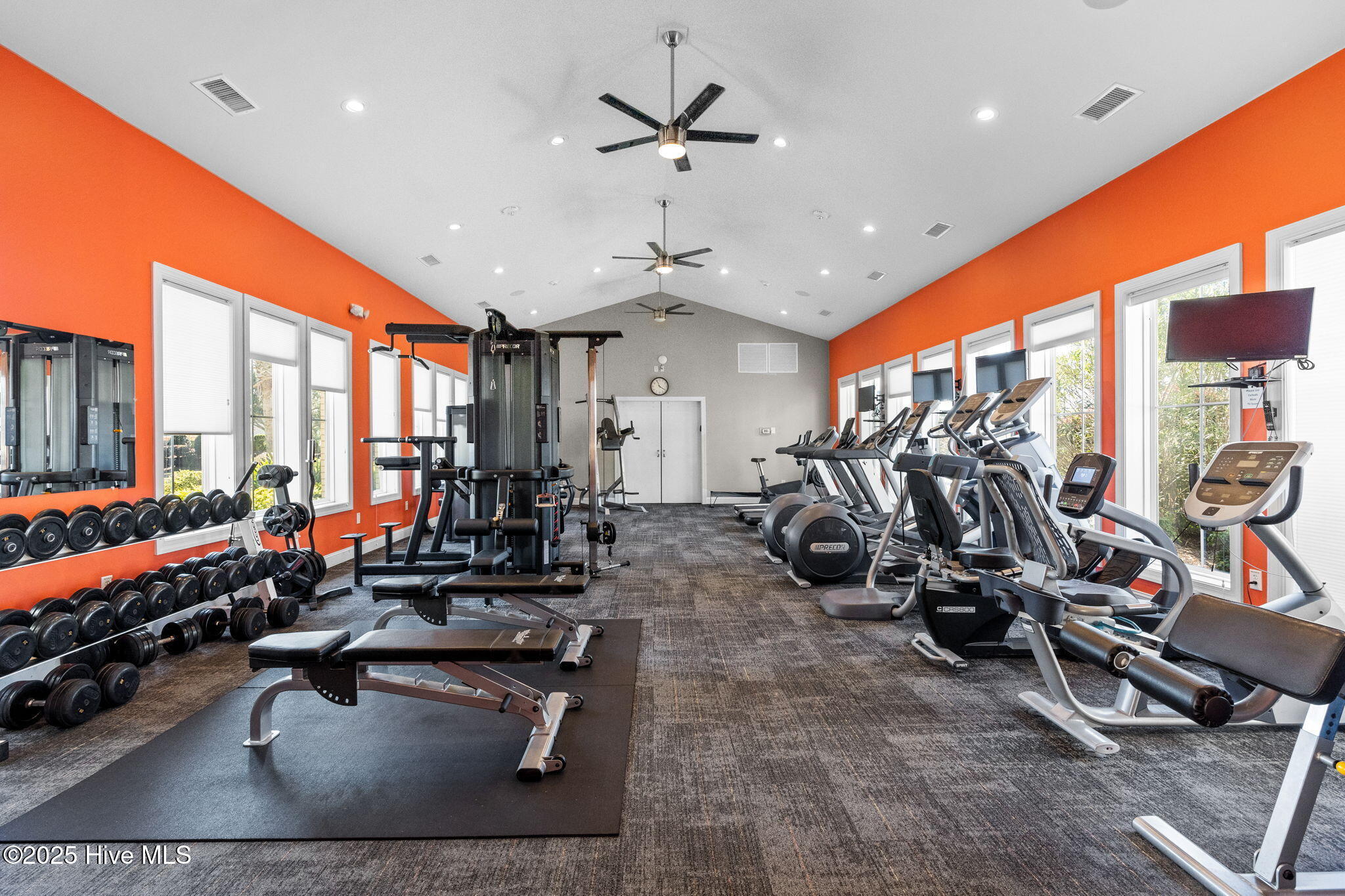 100538091 | Photo 71