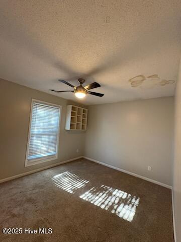 100541721 | Photo 20