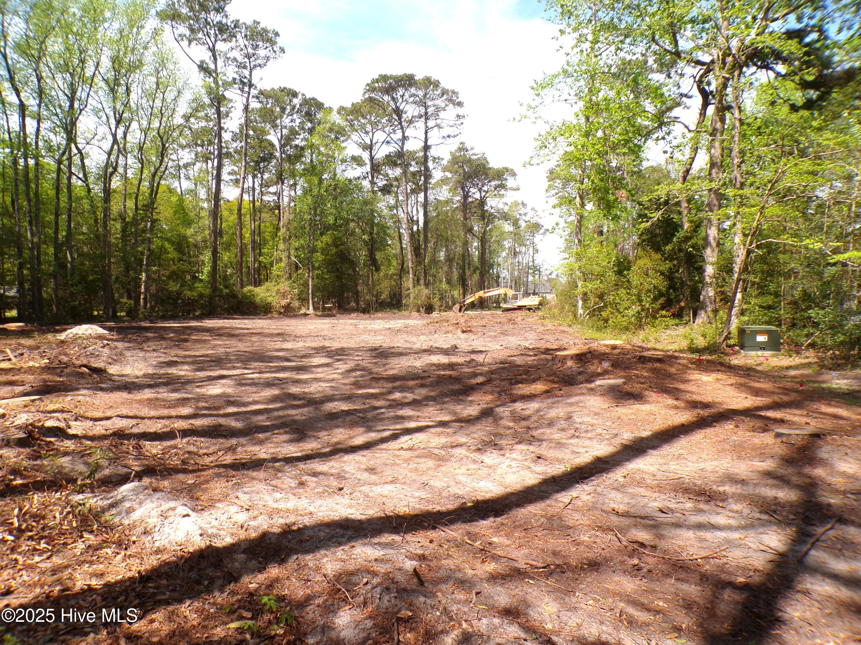 100499822 | Photo 10