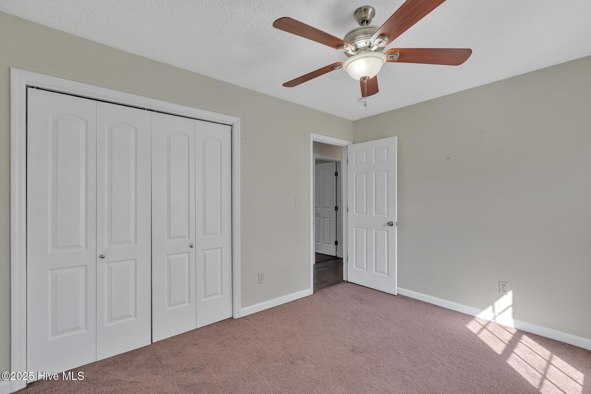 100539855 | Photo 25