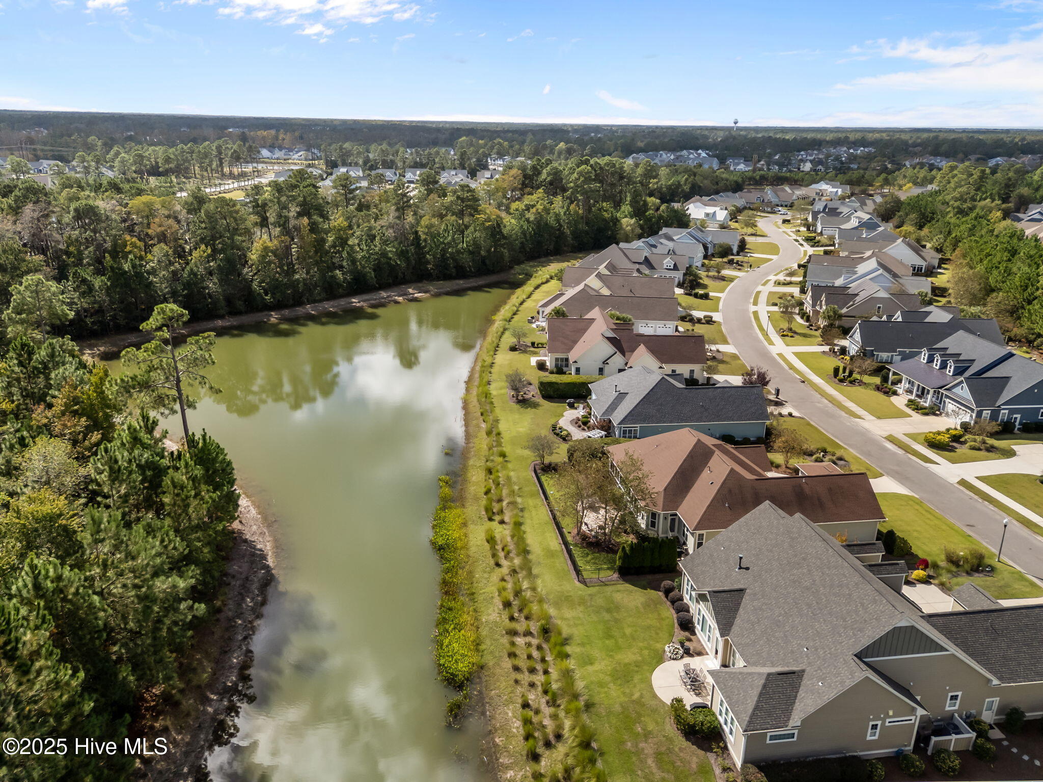 100552271 | Photo 51