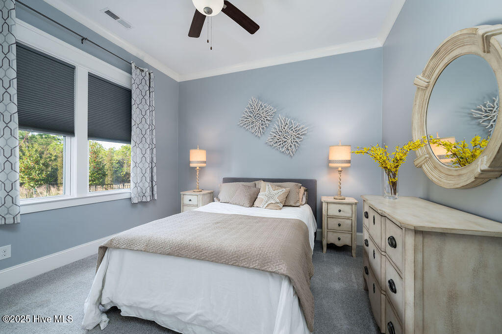 100544348 | Photo 23