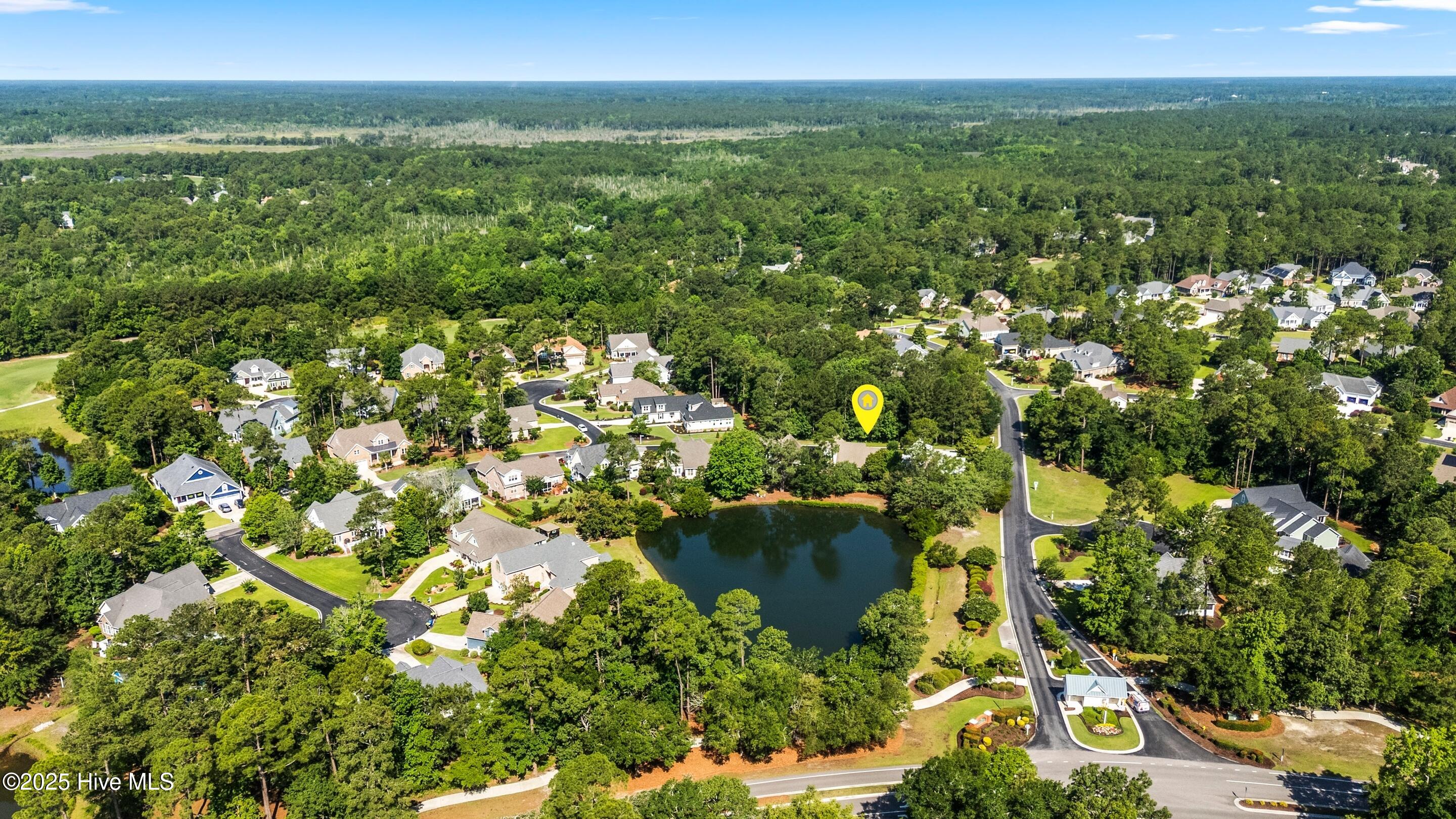 100514713 | Photo 113