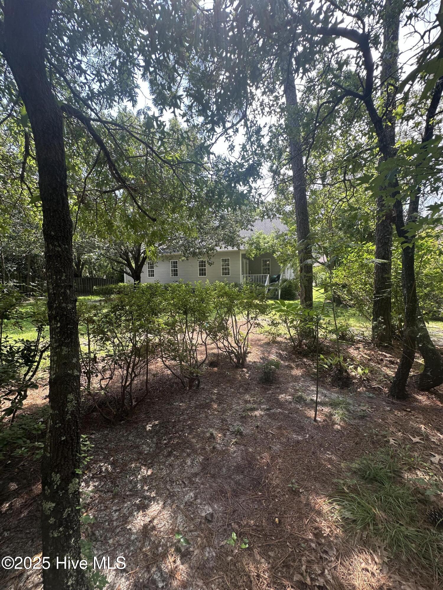 100526280 | Photo 43