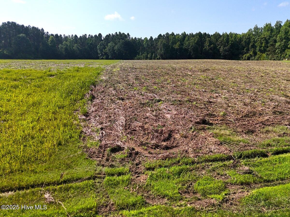 100513588 | Photo 30