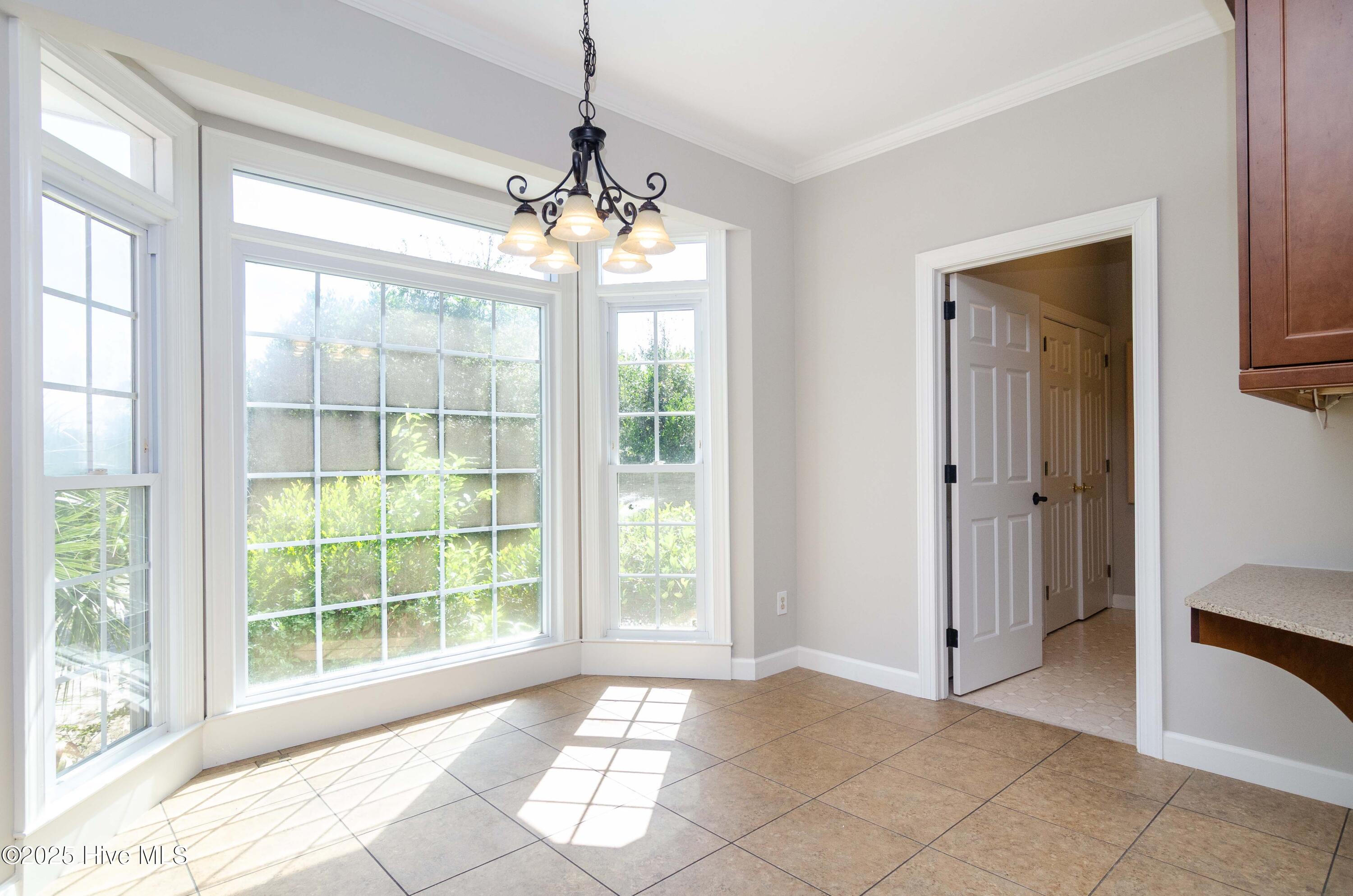 100516965 | Photo 13