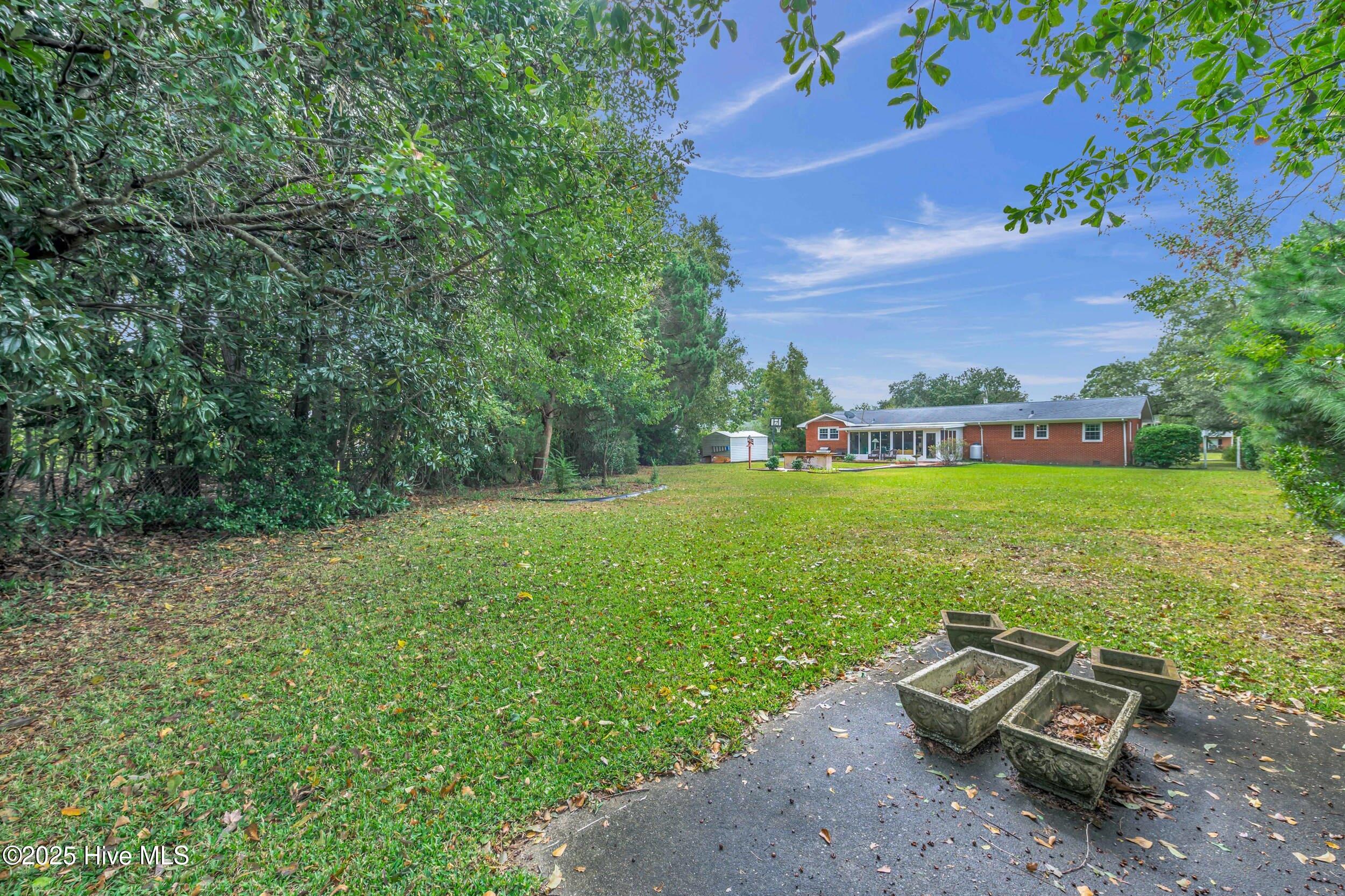 100538993 | Photo 37