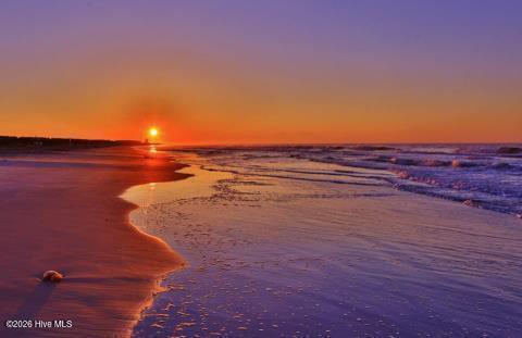 100554715 | Photo 38