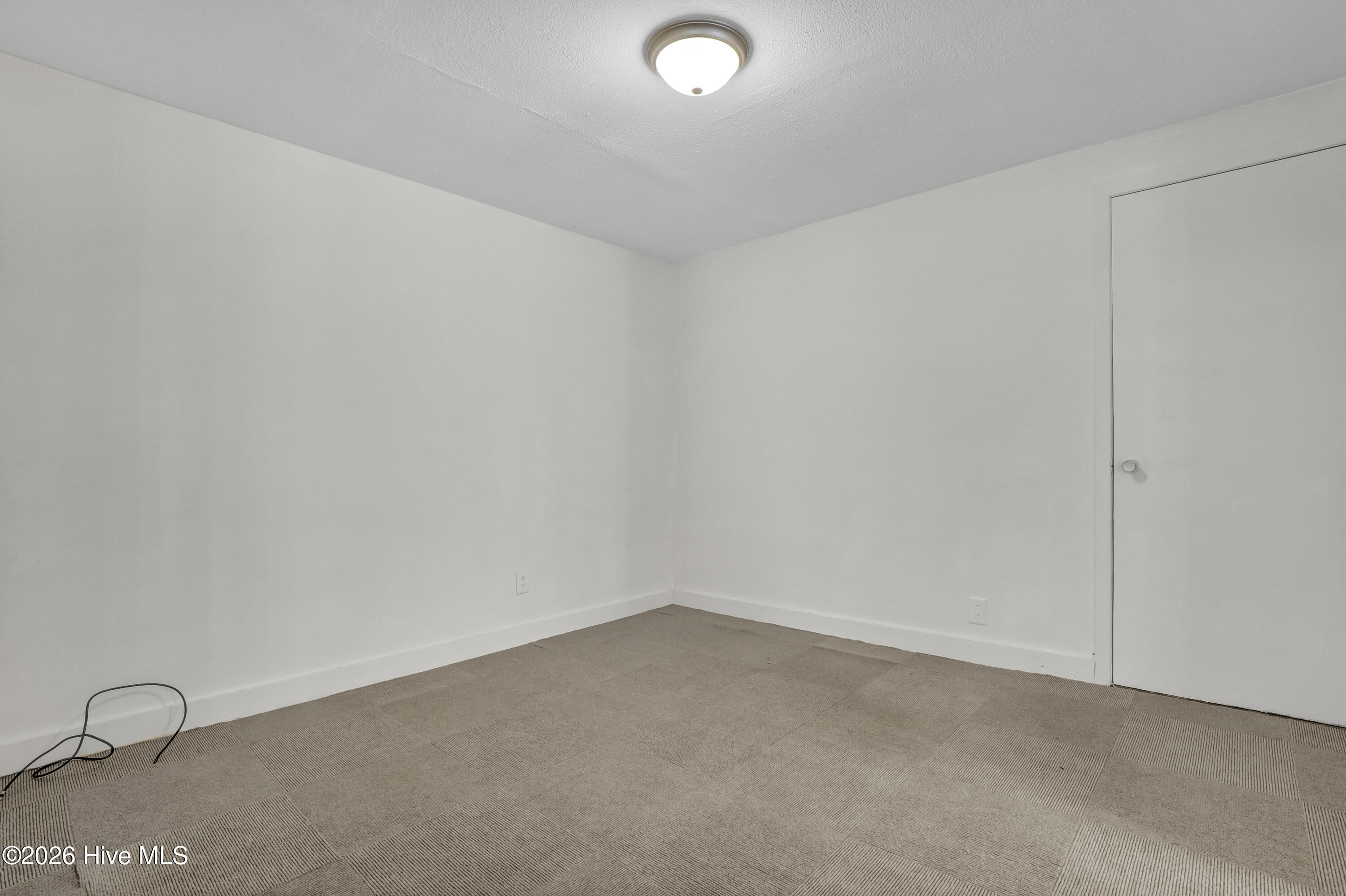 100567063 | Photo 23